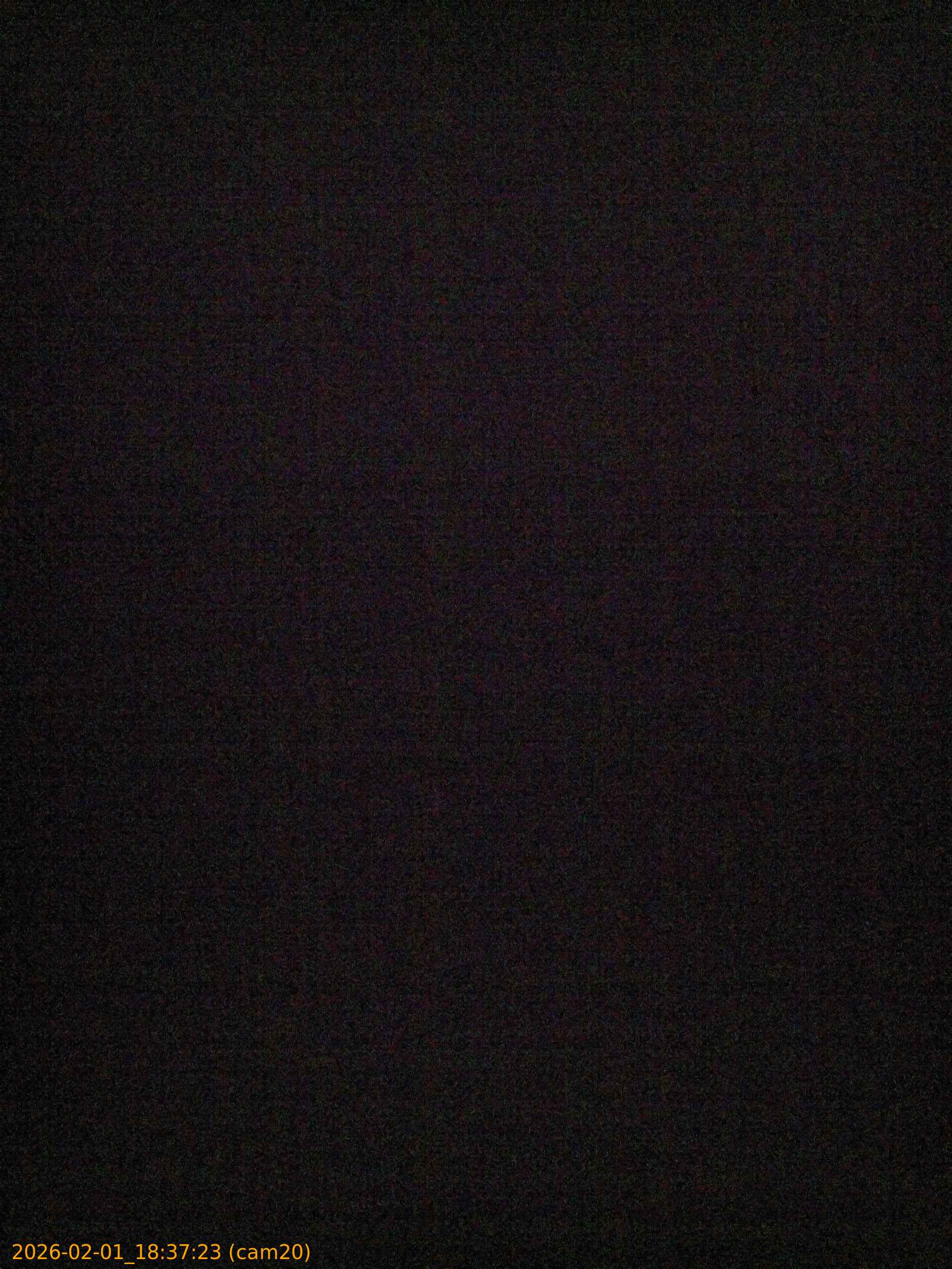 thumbnail_20260201183723