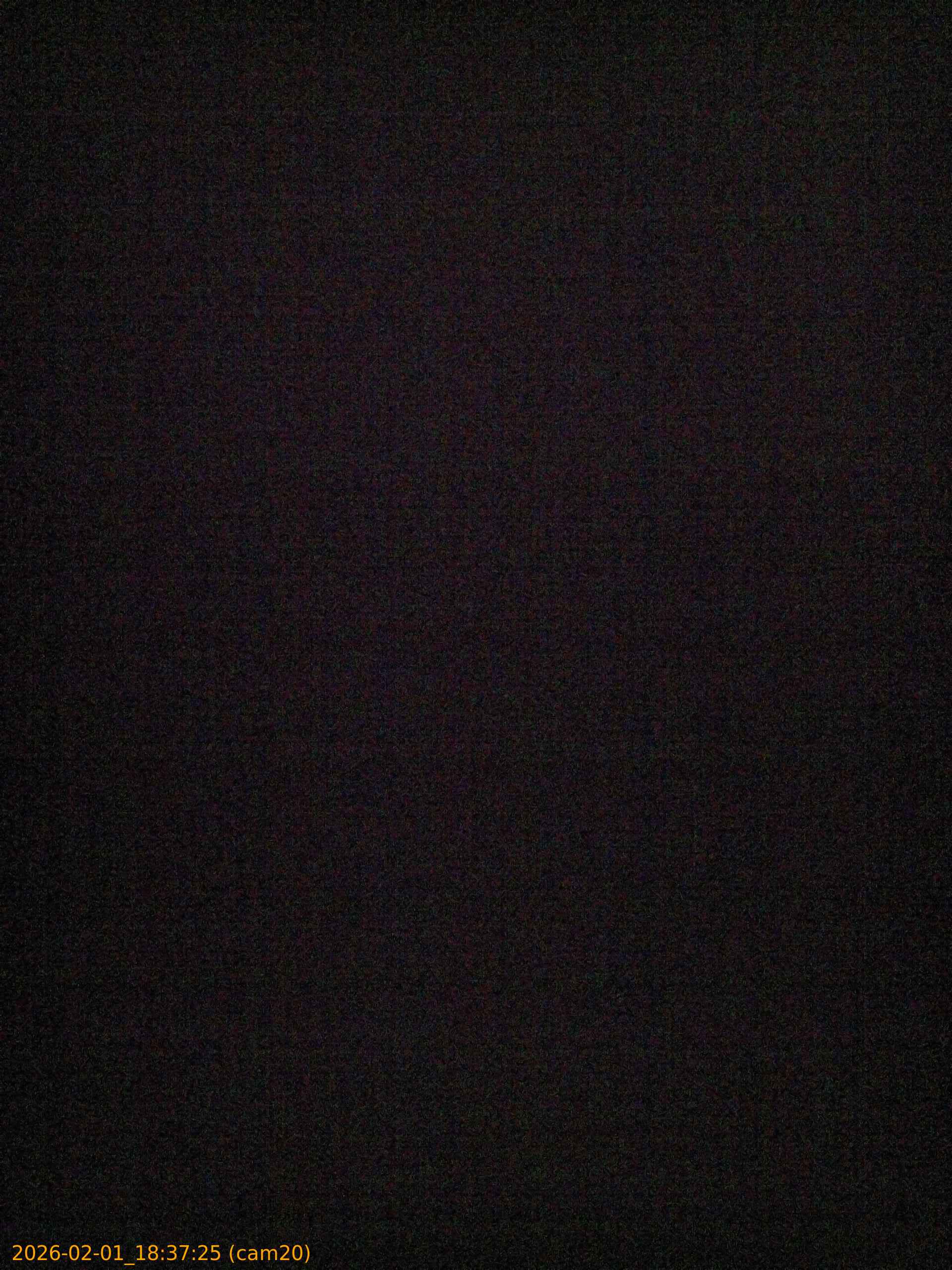 thumbnail_20260201183725