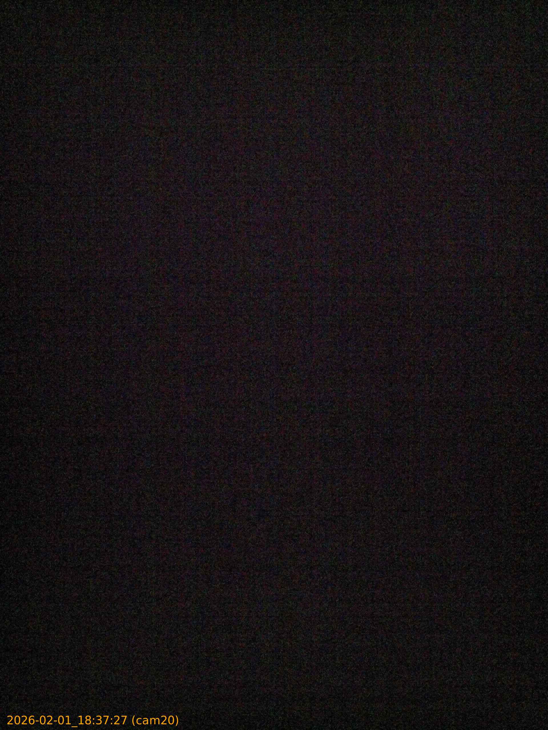 thumbnail_20260201183727