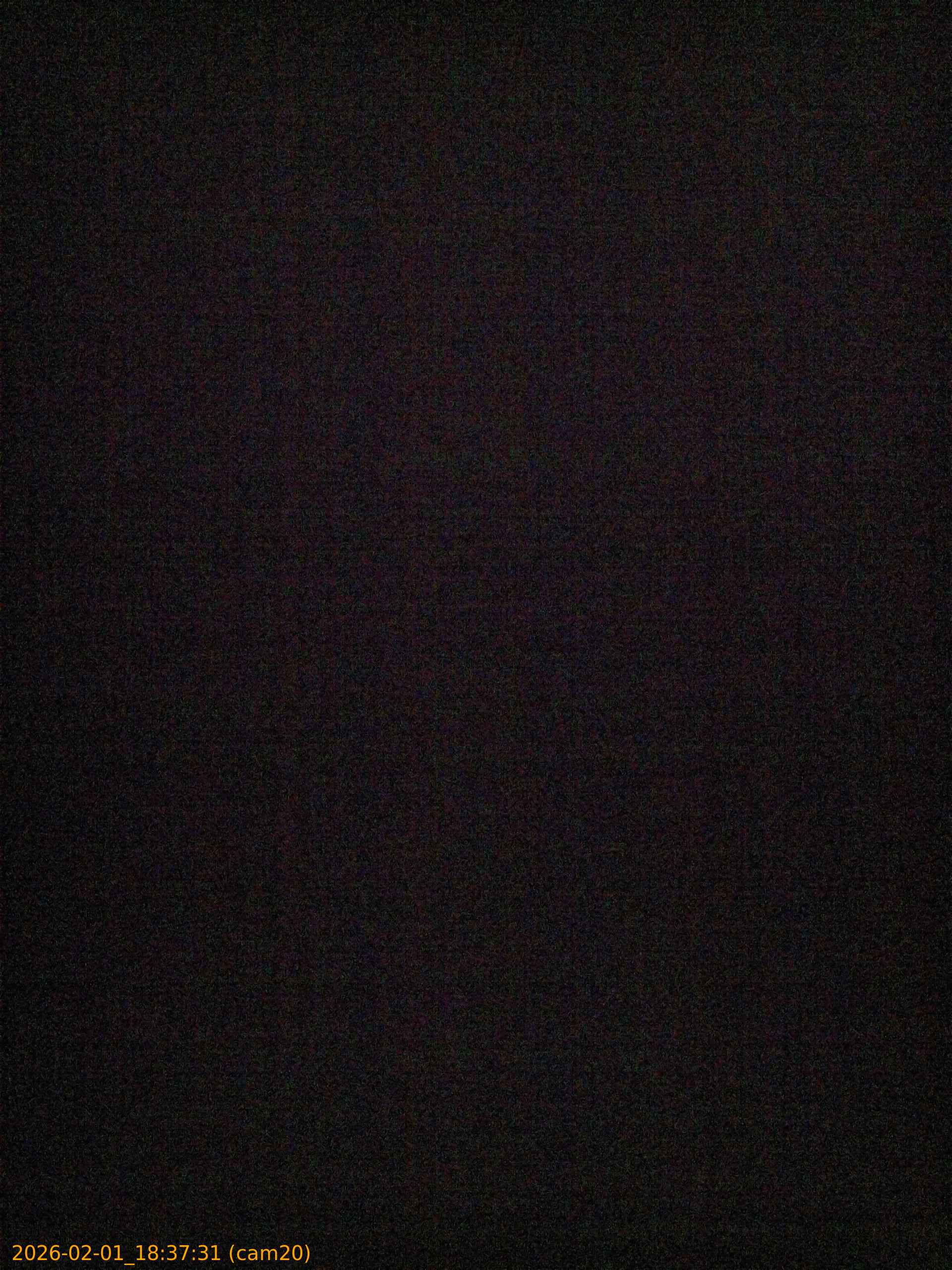 thumbnail_20260201183731