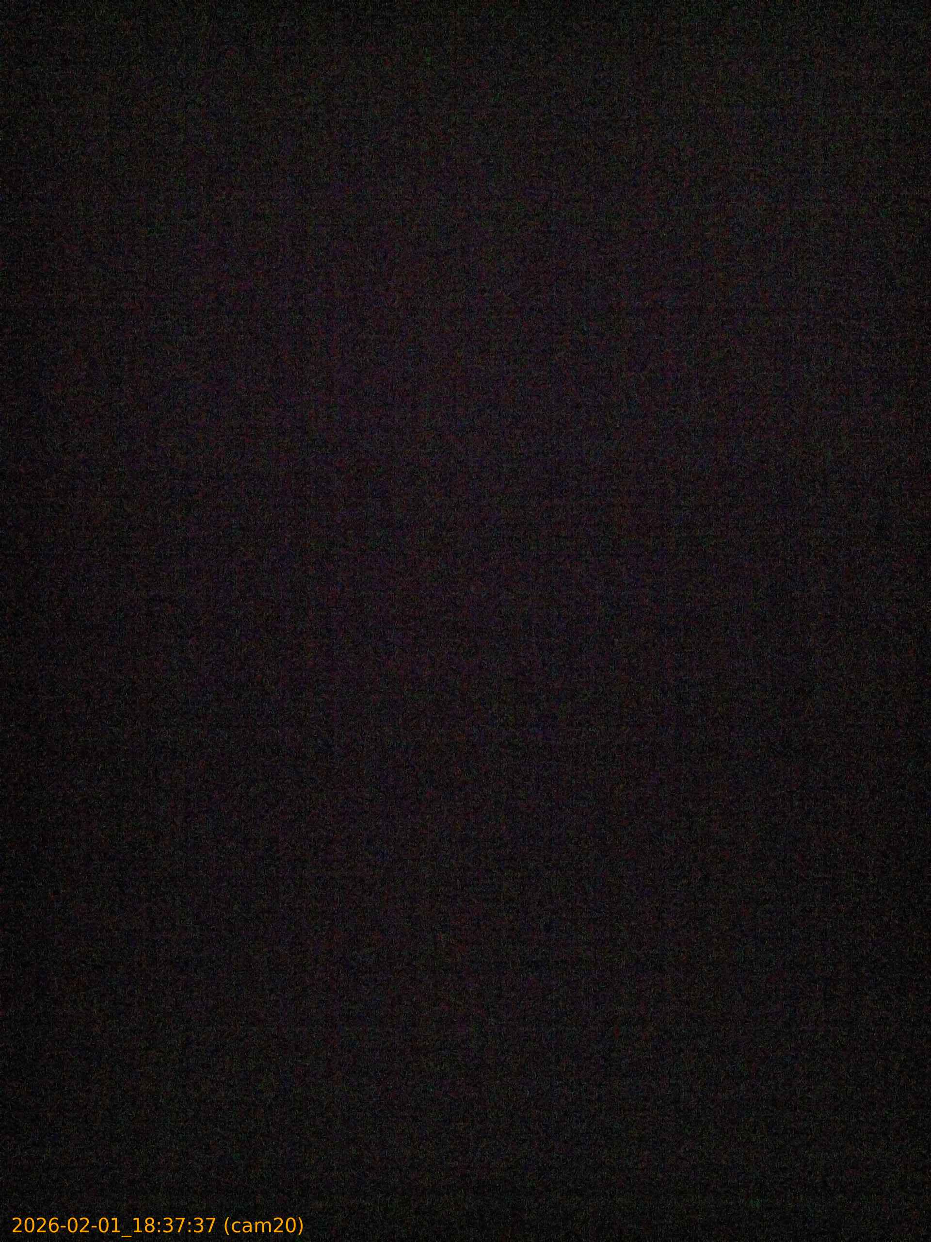 thumbnail_20260201183736