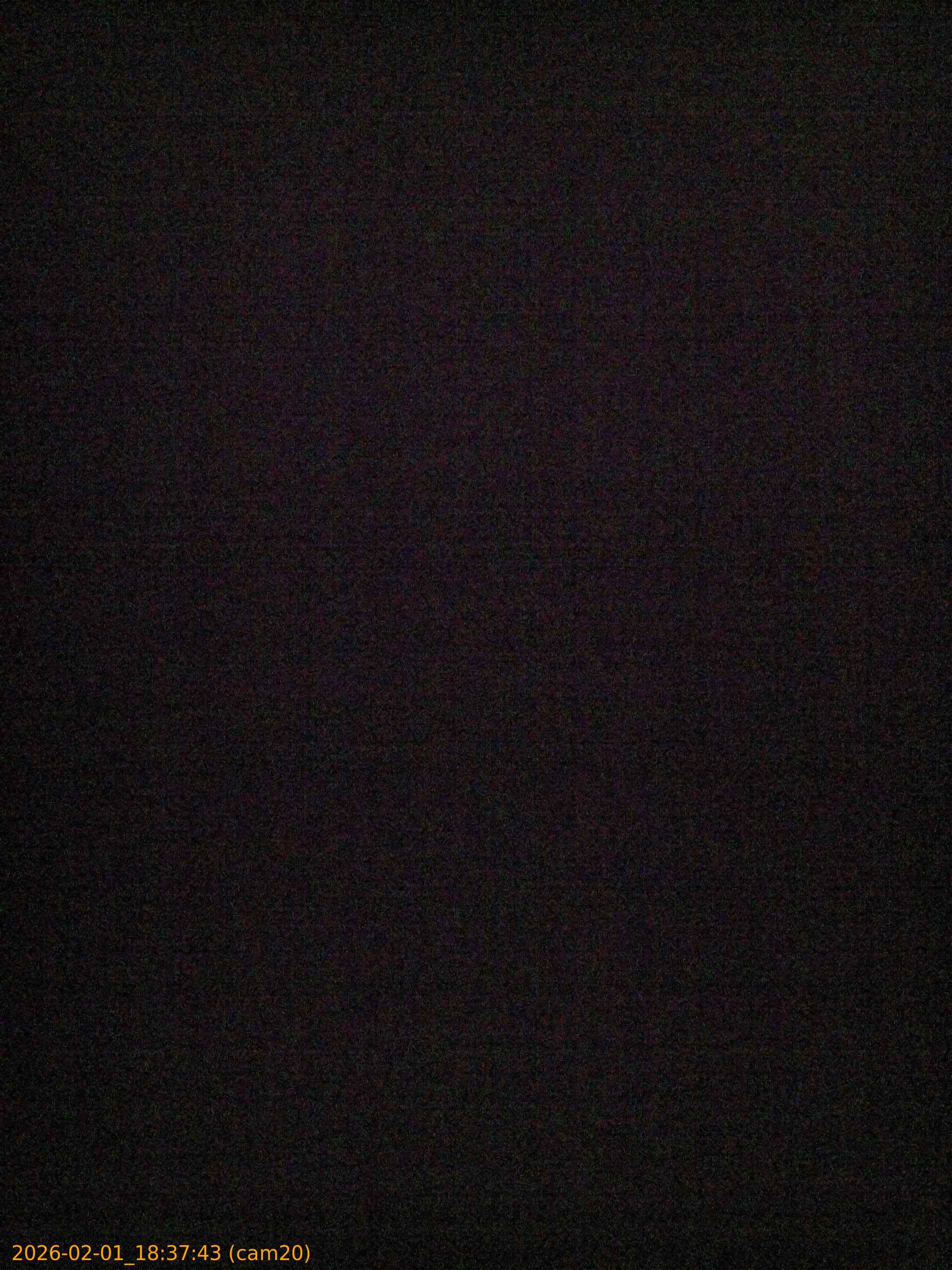 thumbnail_20260201183743