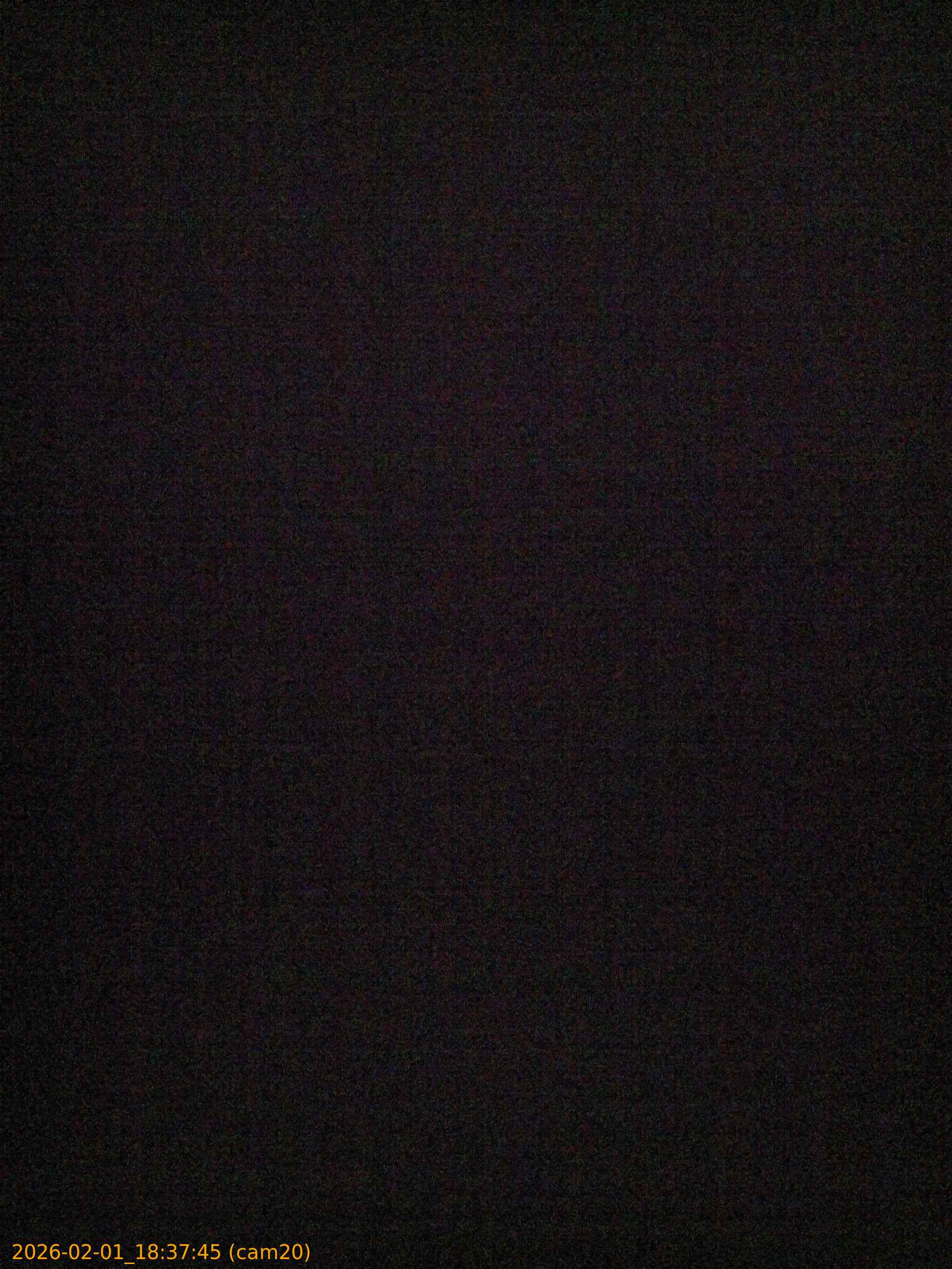 thumbnail_20260201183745