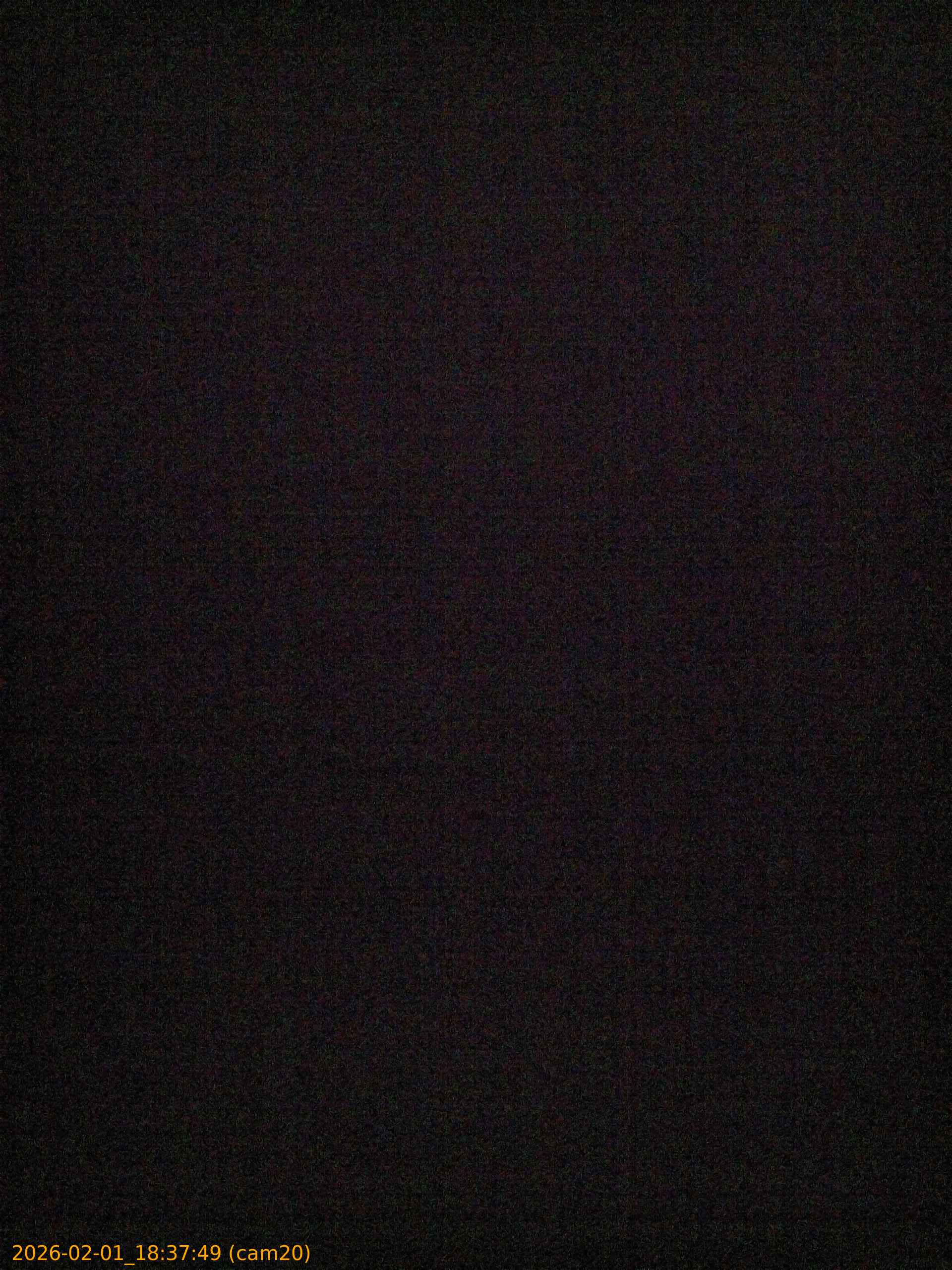 thumbnail_20260201183749