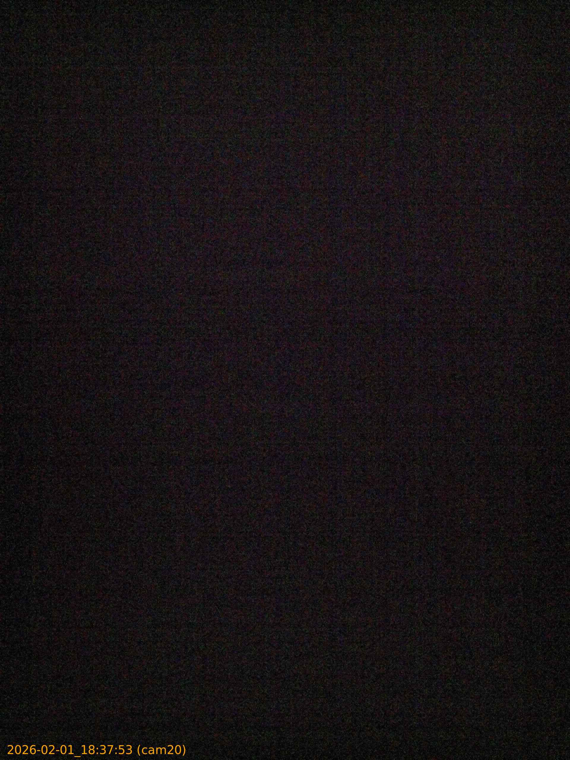 thumbnail_20260201183753