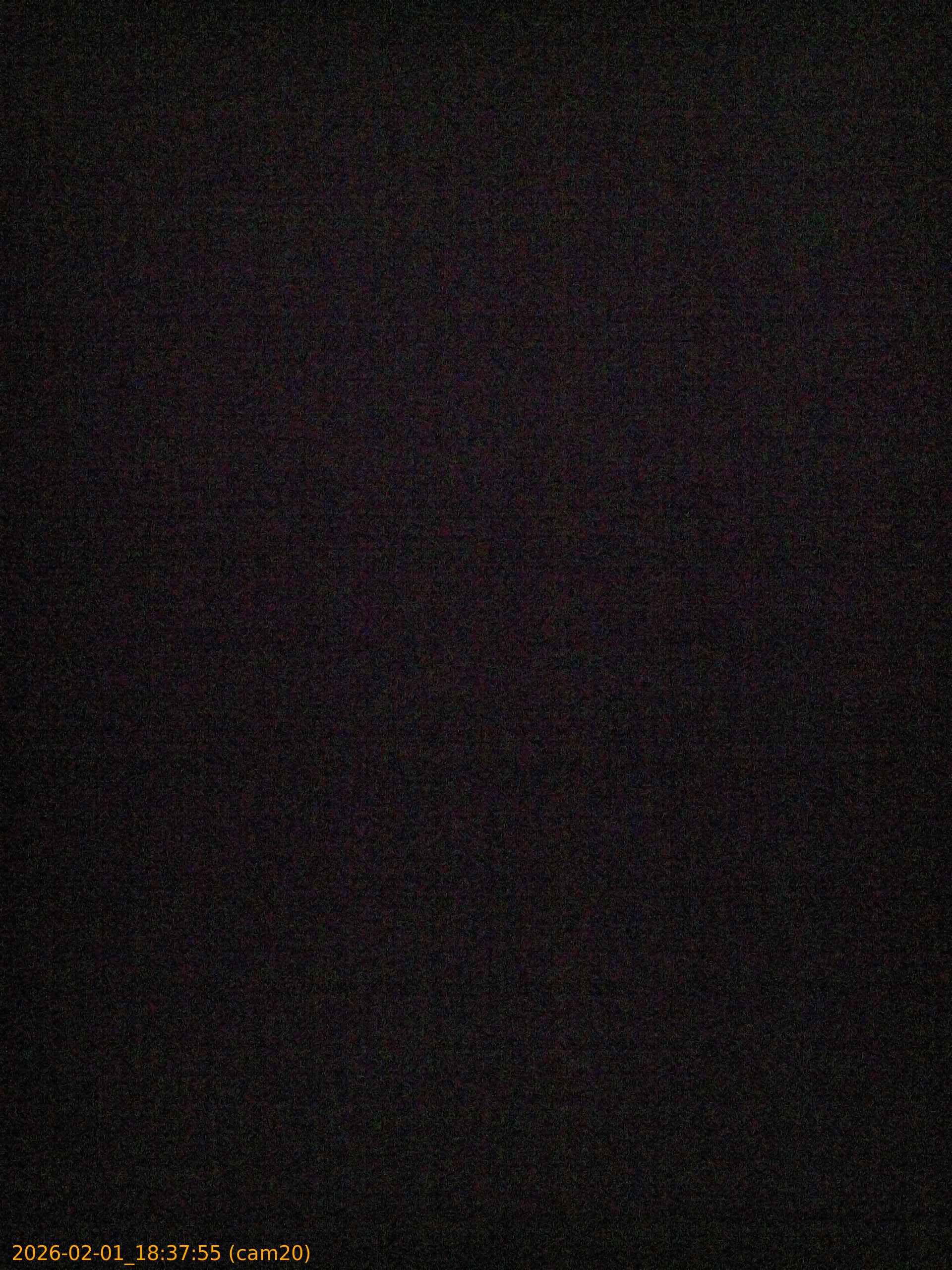 thumbnail_20260201183755