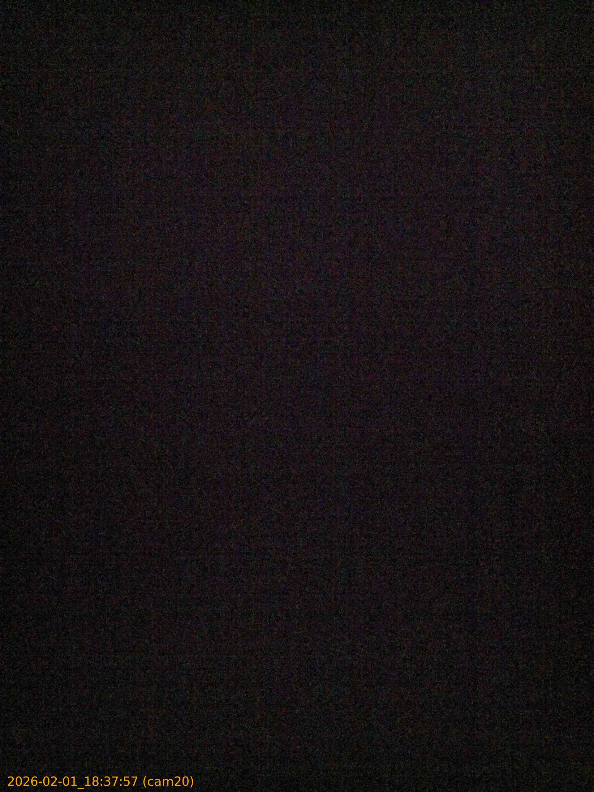 thumbnail_20260201183757