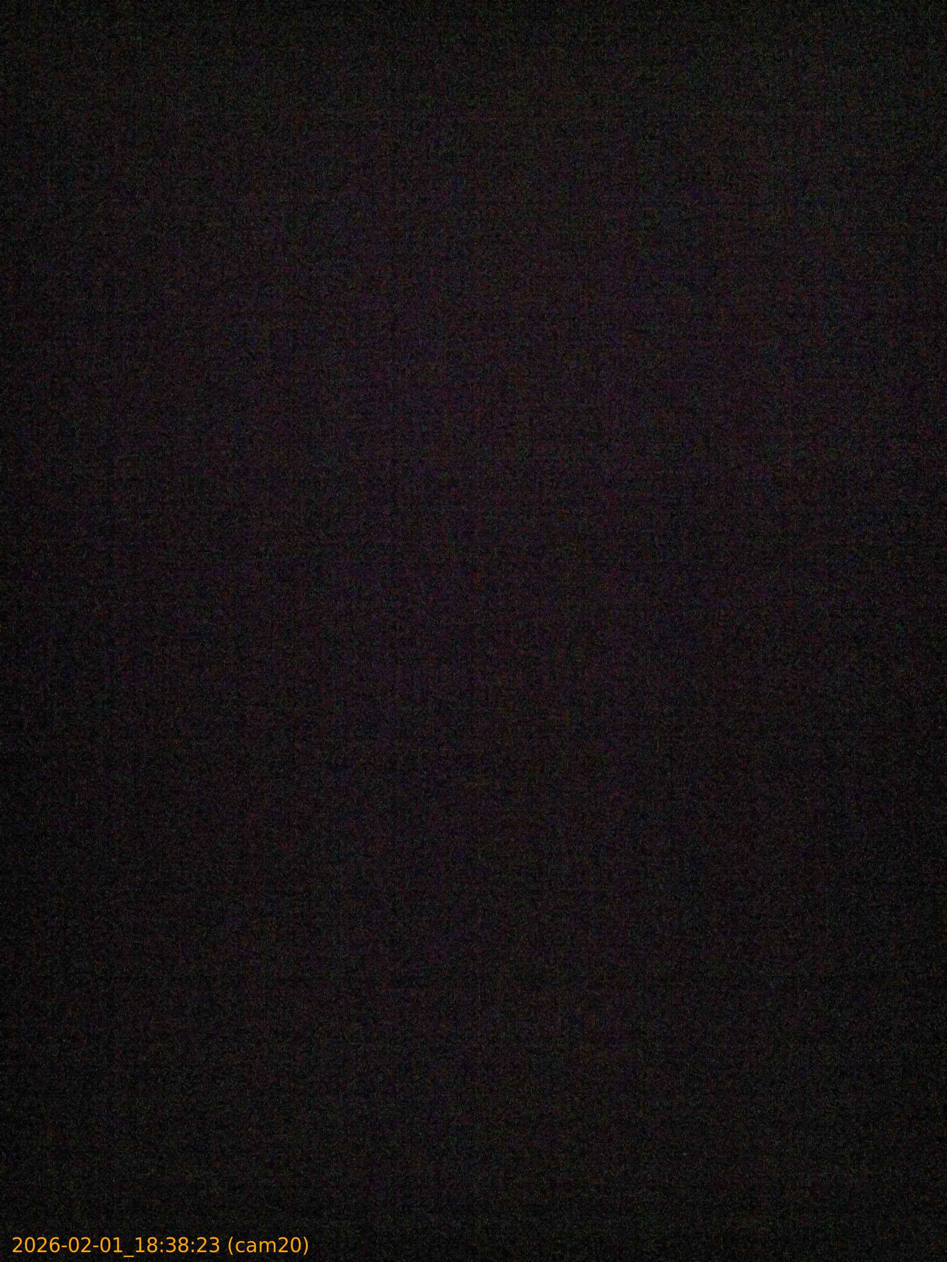 thumbnail_20260201183823