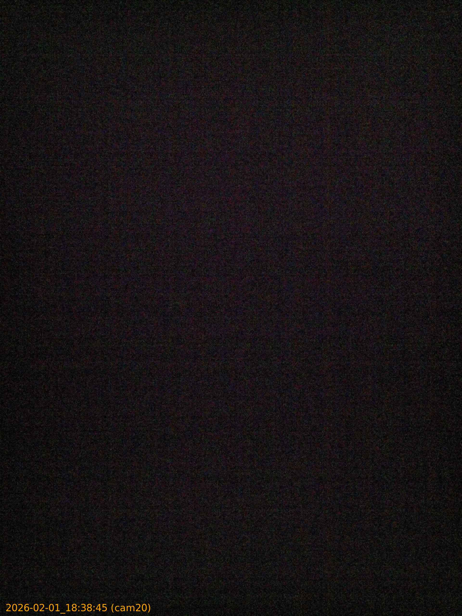 thumbnail_20260201183845