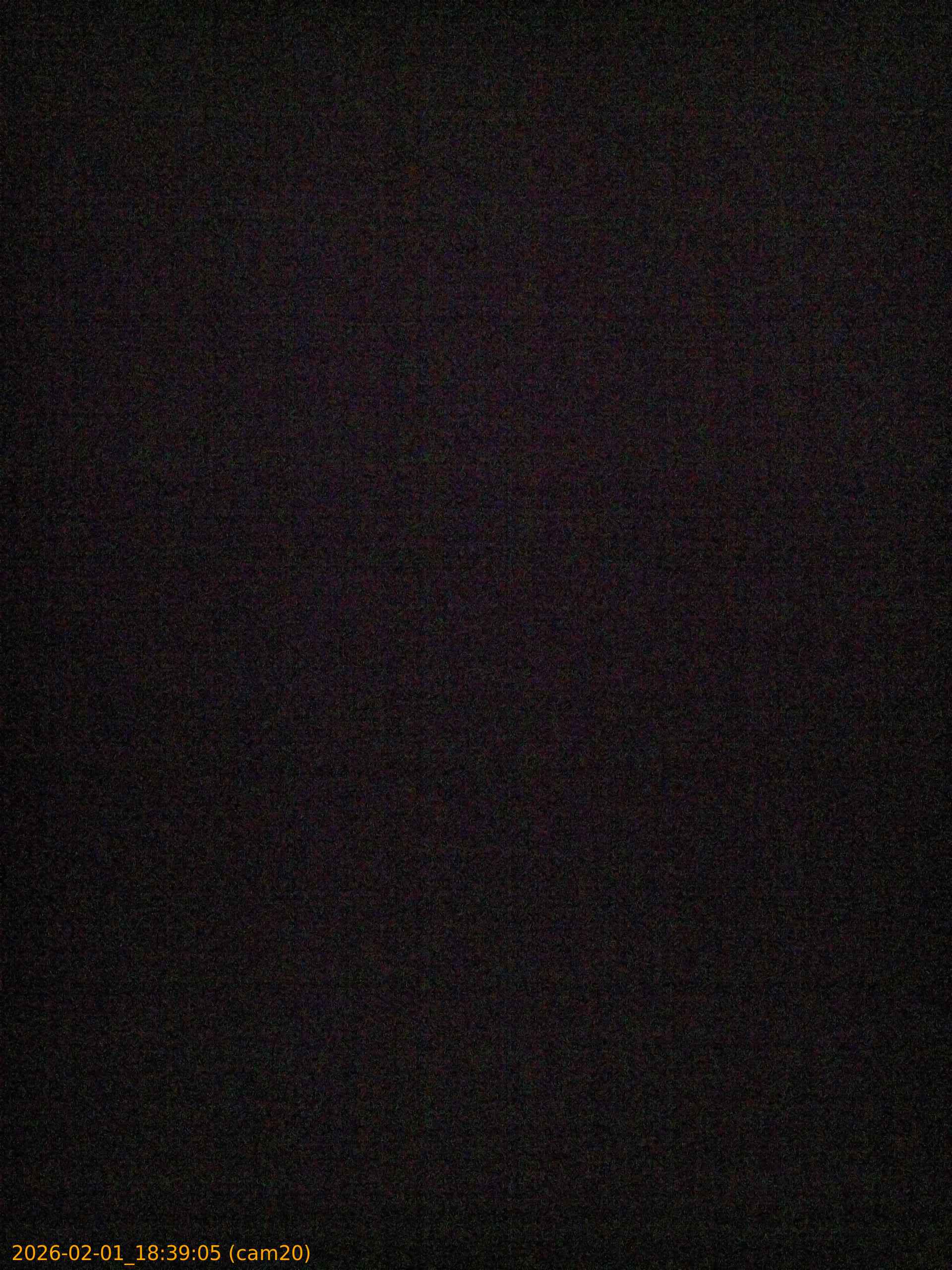 thumbnail_20260201183905