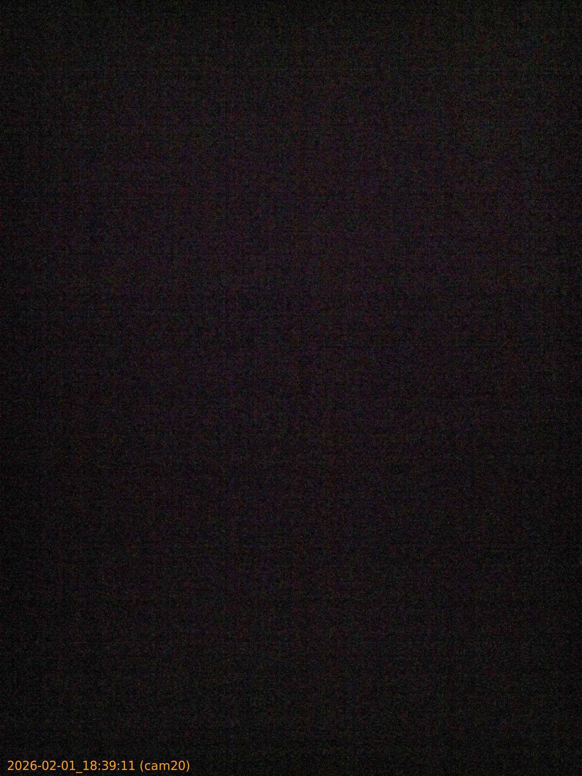 thumbnail_20260201183911