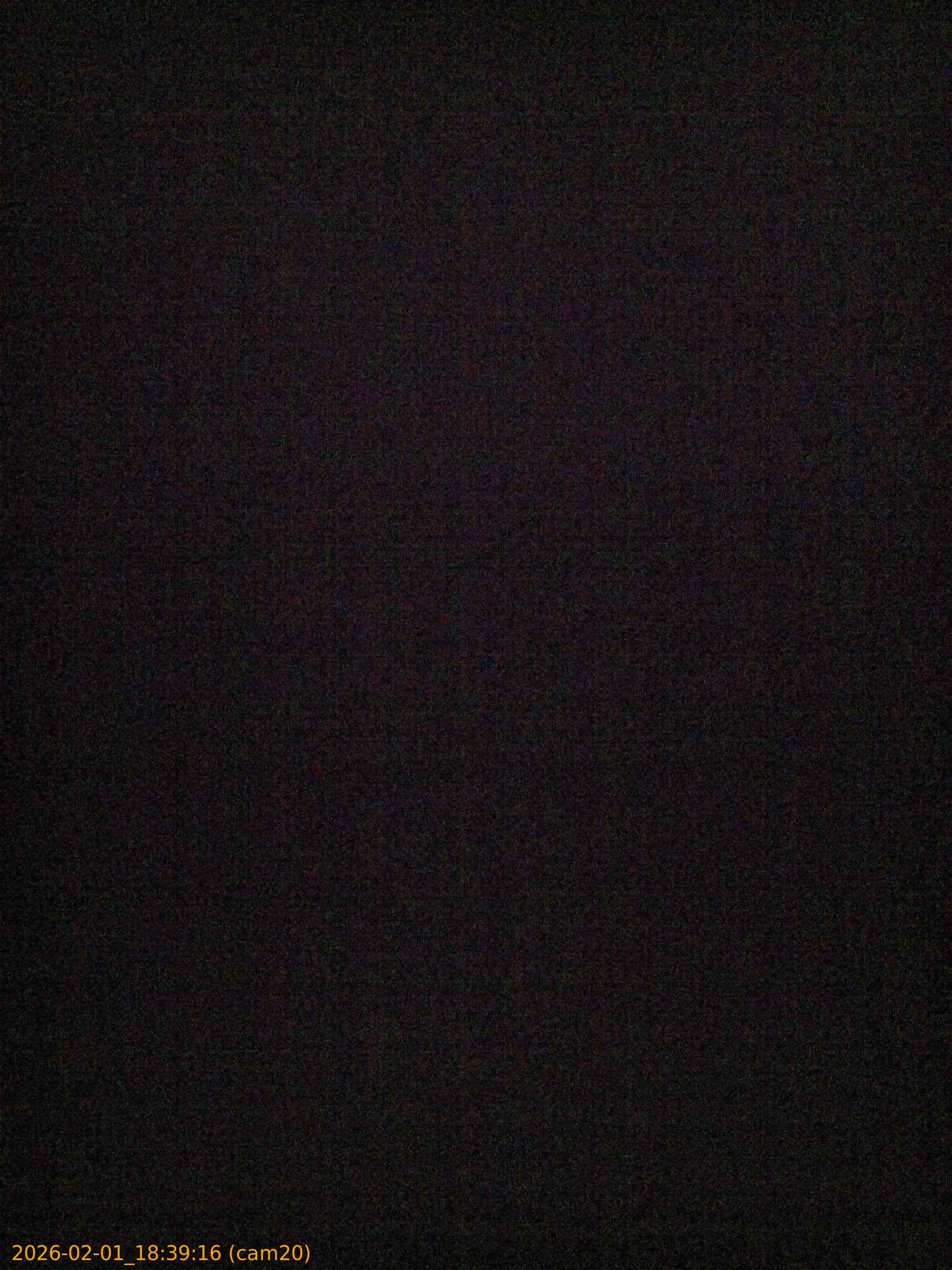 thumbnail_20260201183916