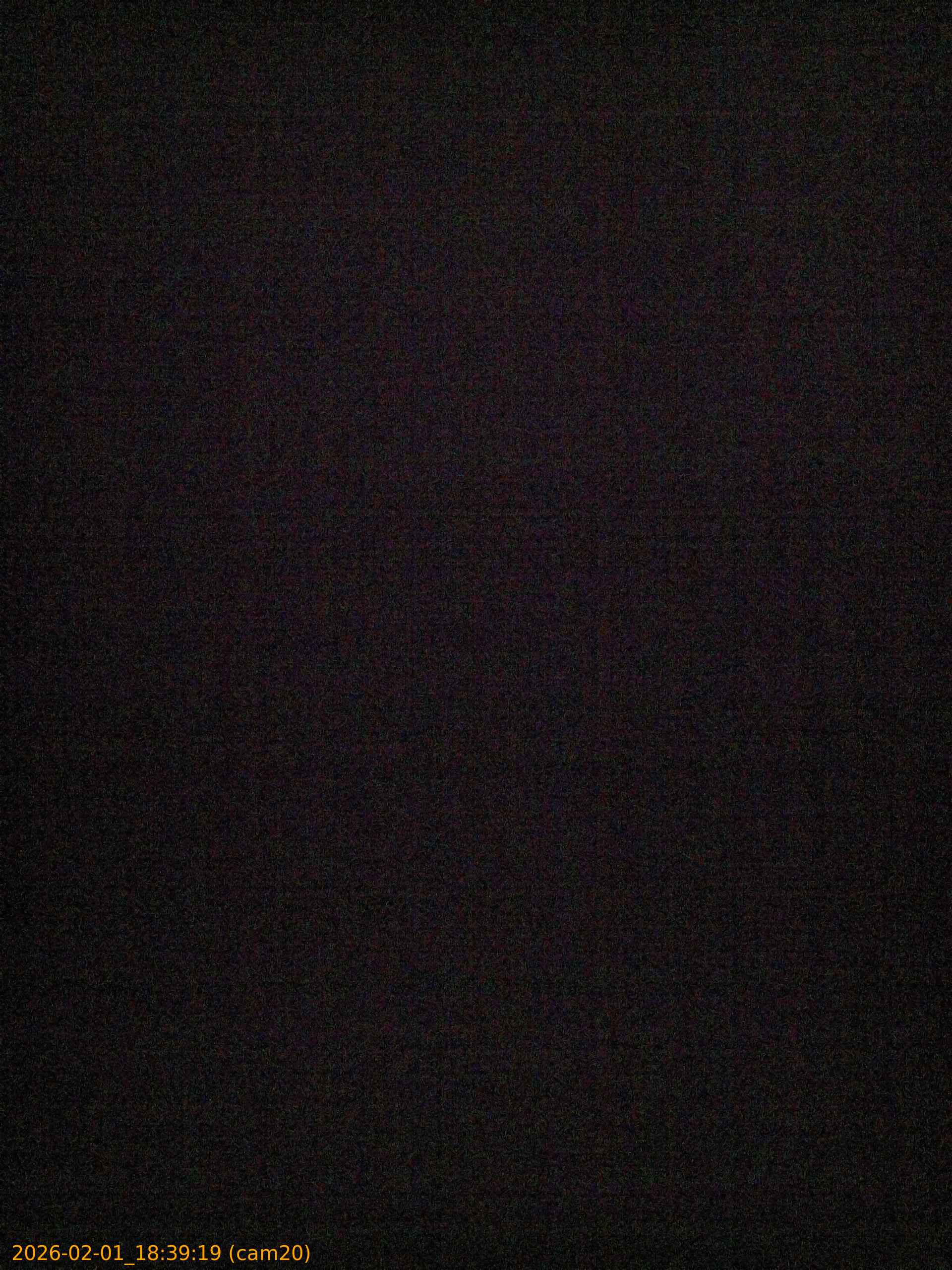 thumbnail_20260201183919