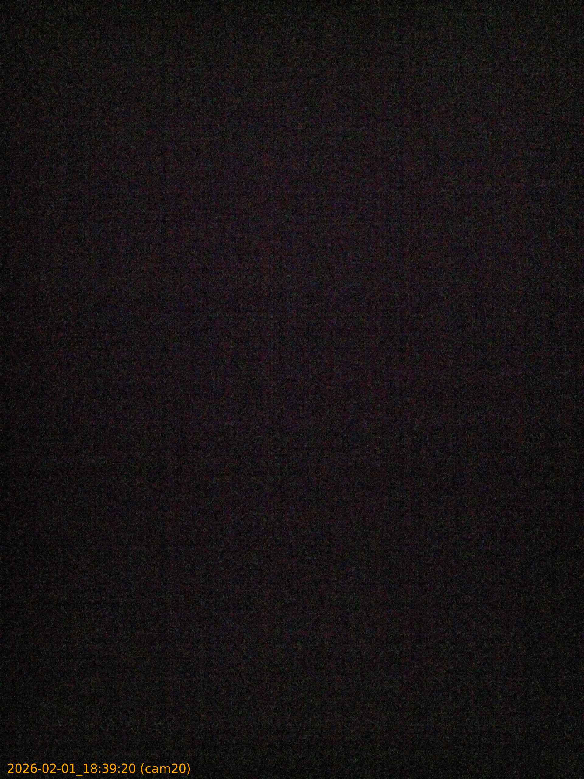 thumbnail_20260201183920