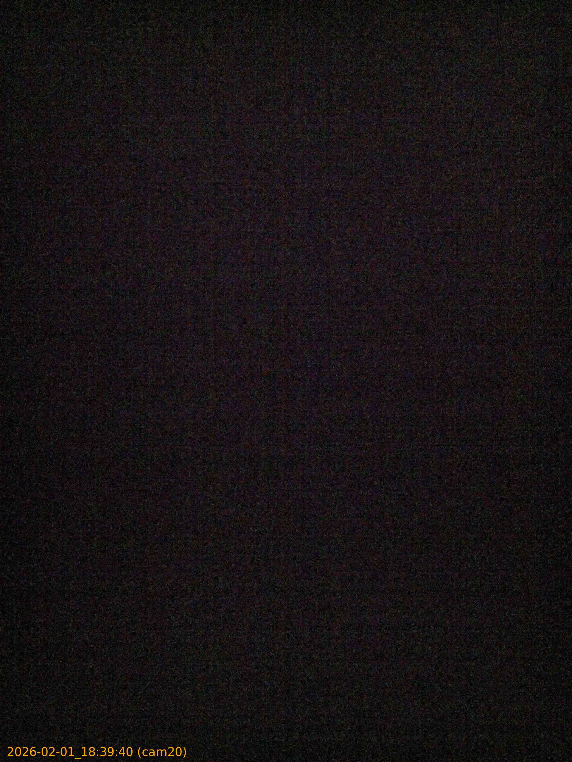 thumbnail_20260201183940