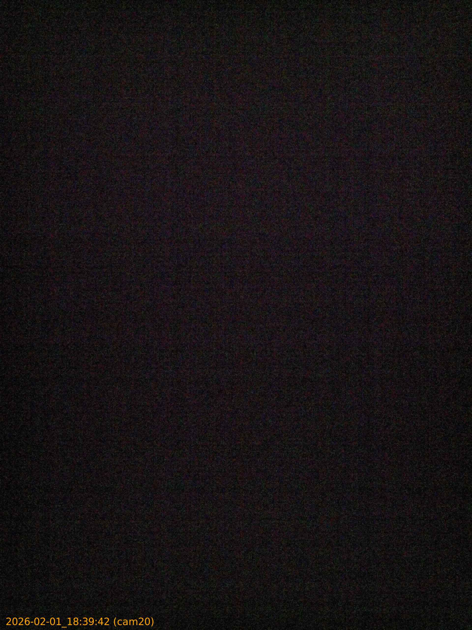 thumbnail_20260201183942