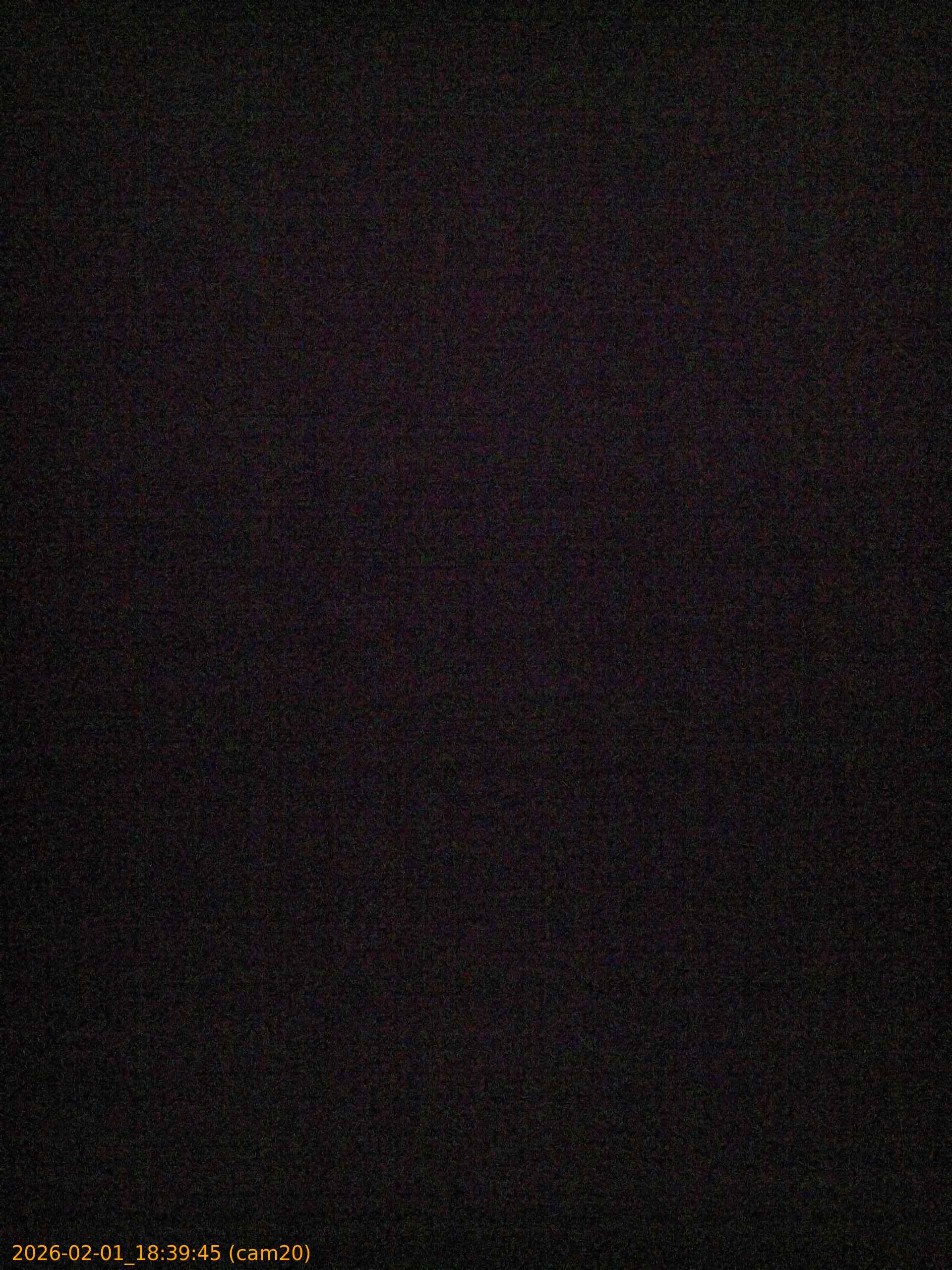 thumbnail_20260201183945