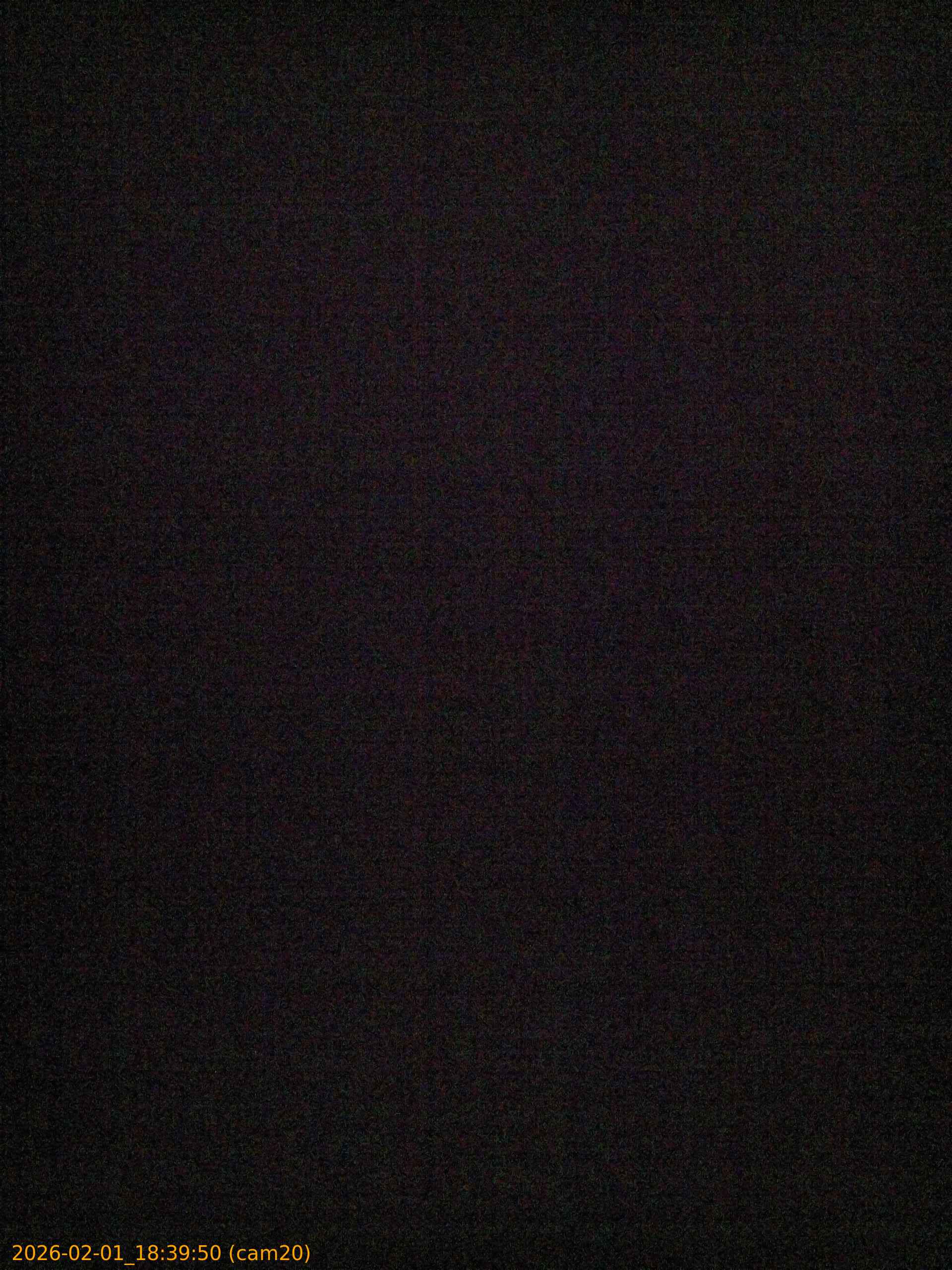 thumbnail_20260201183950