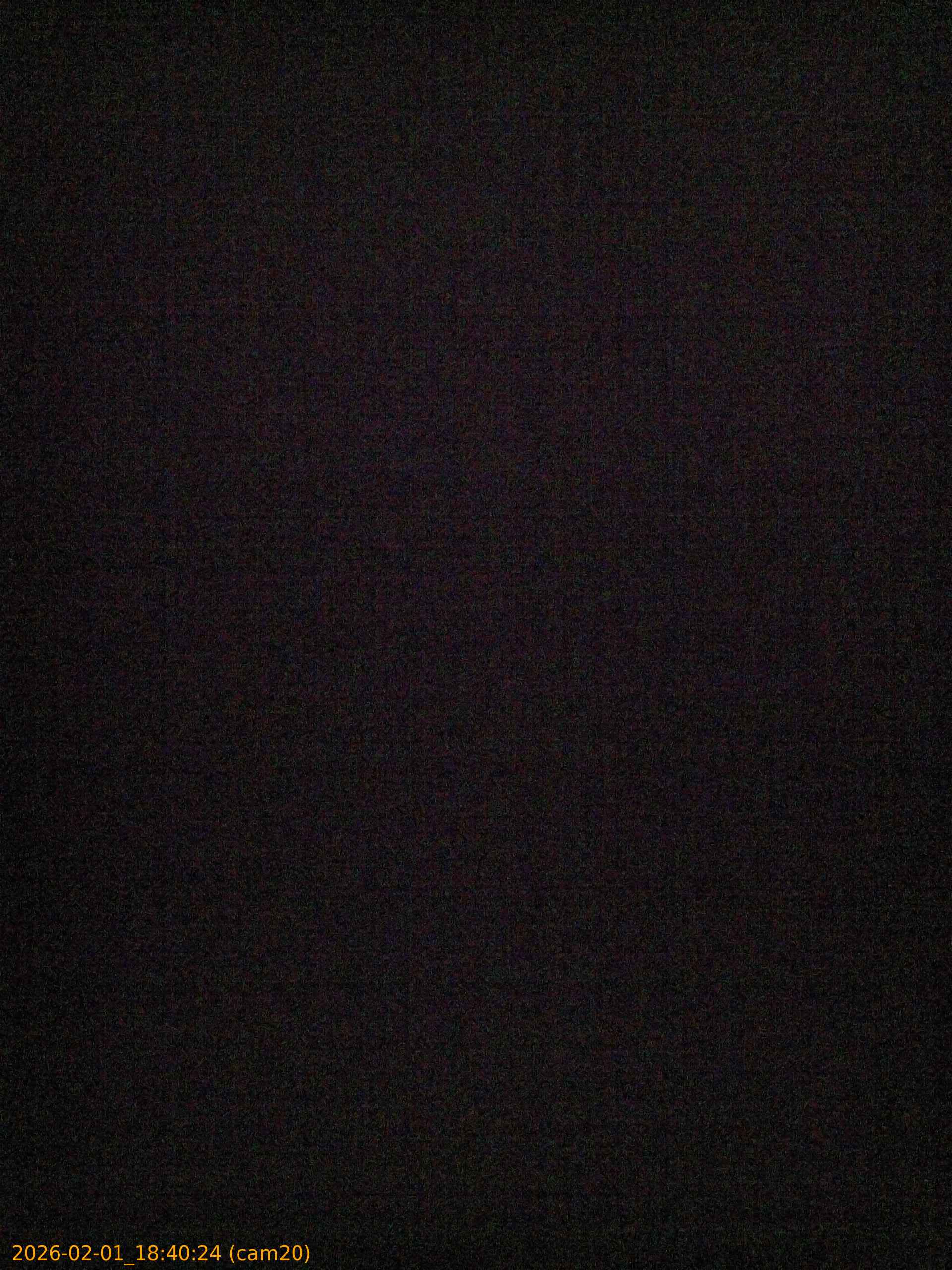 thumbnail_20260201184024