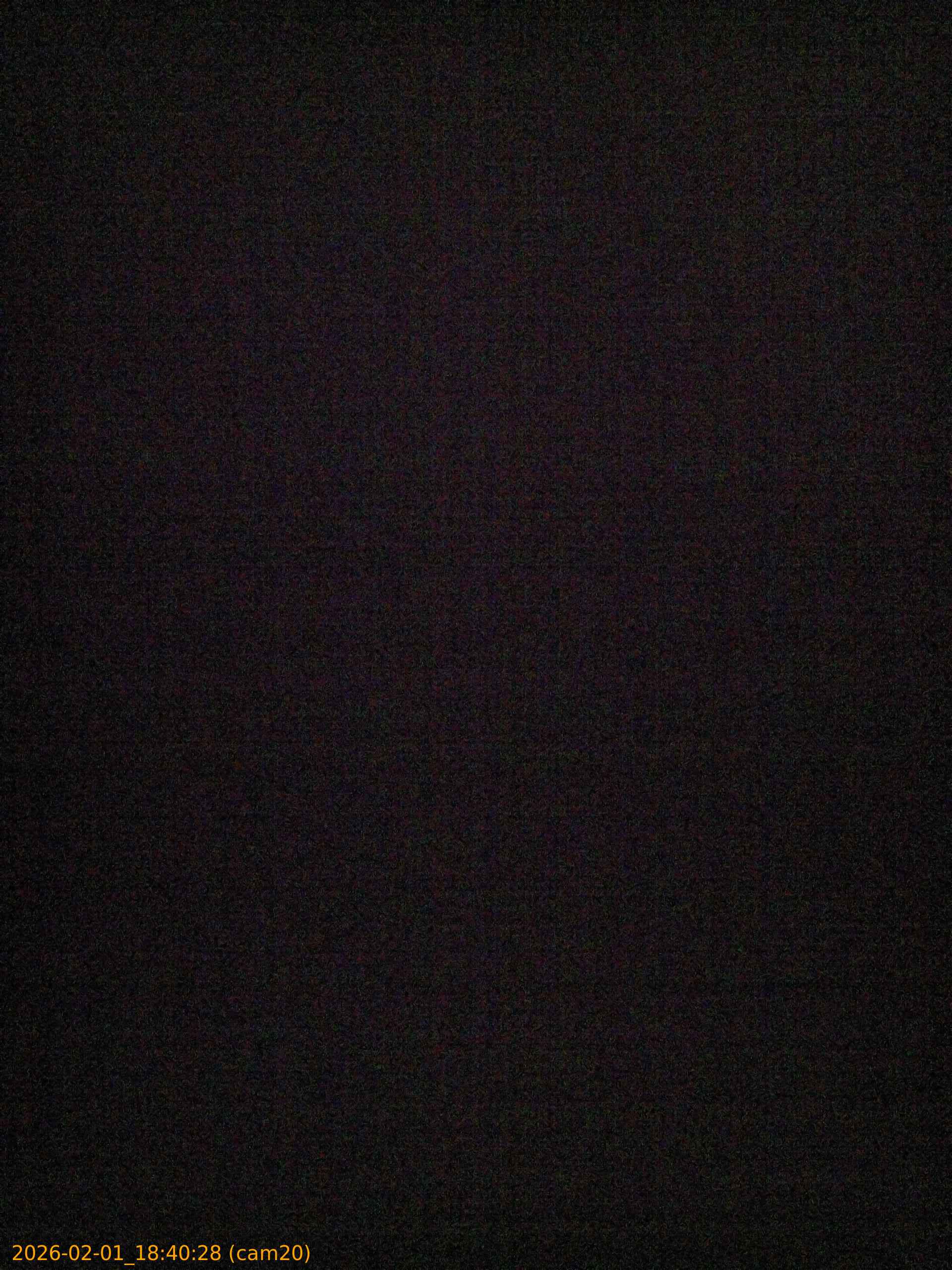 thumbnail_20260201184028