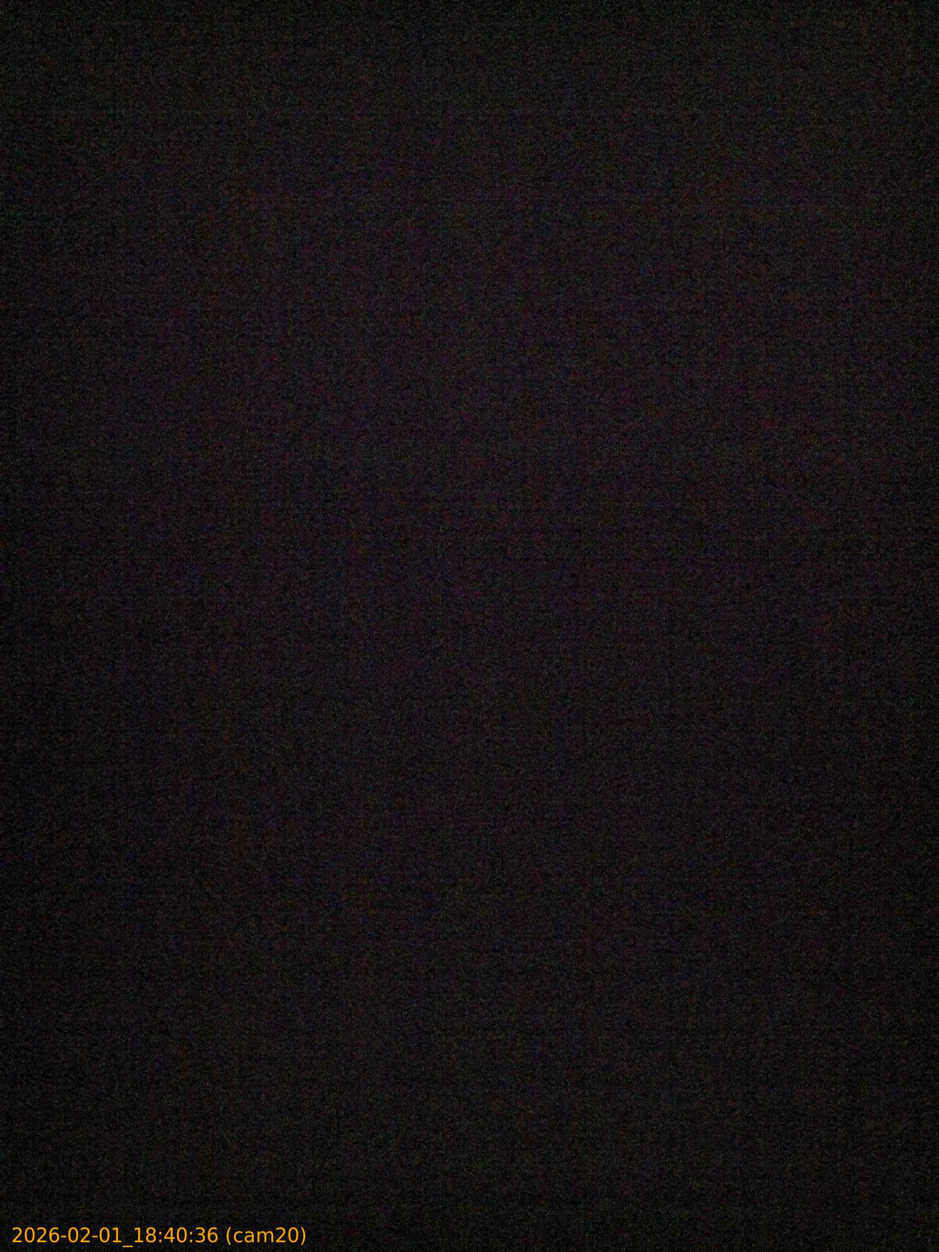 thumbnail_20260201184036