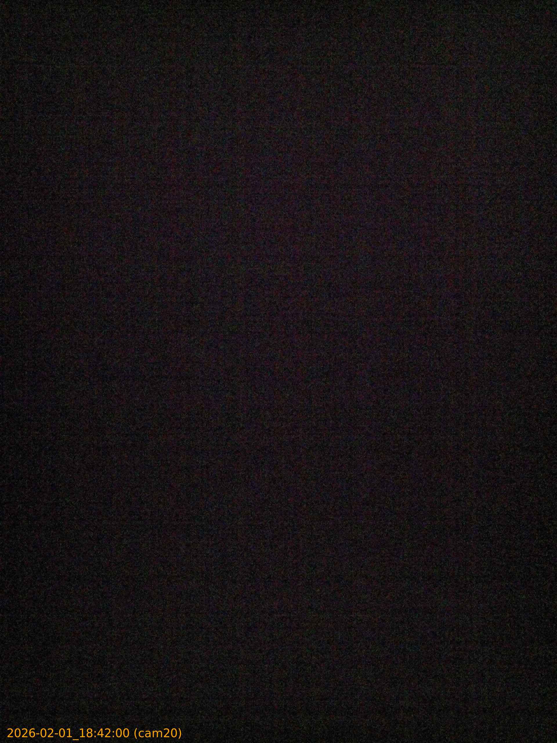 thumbnail_20260201184200