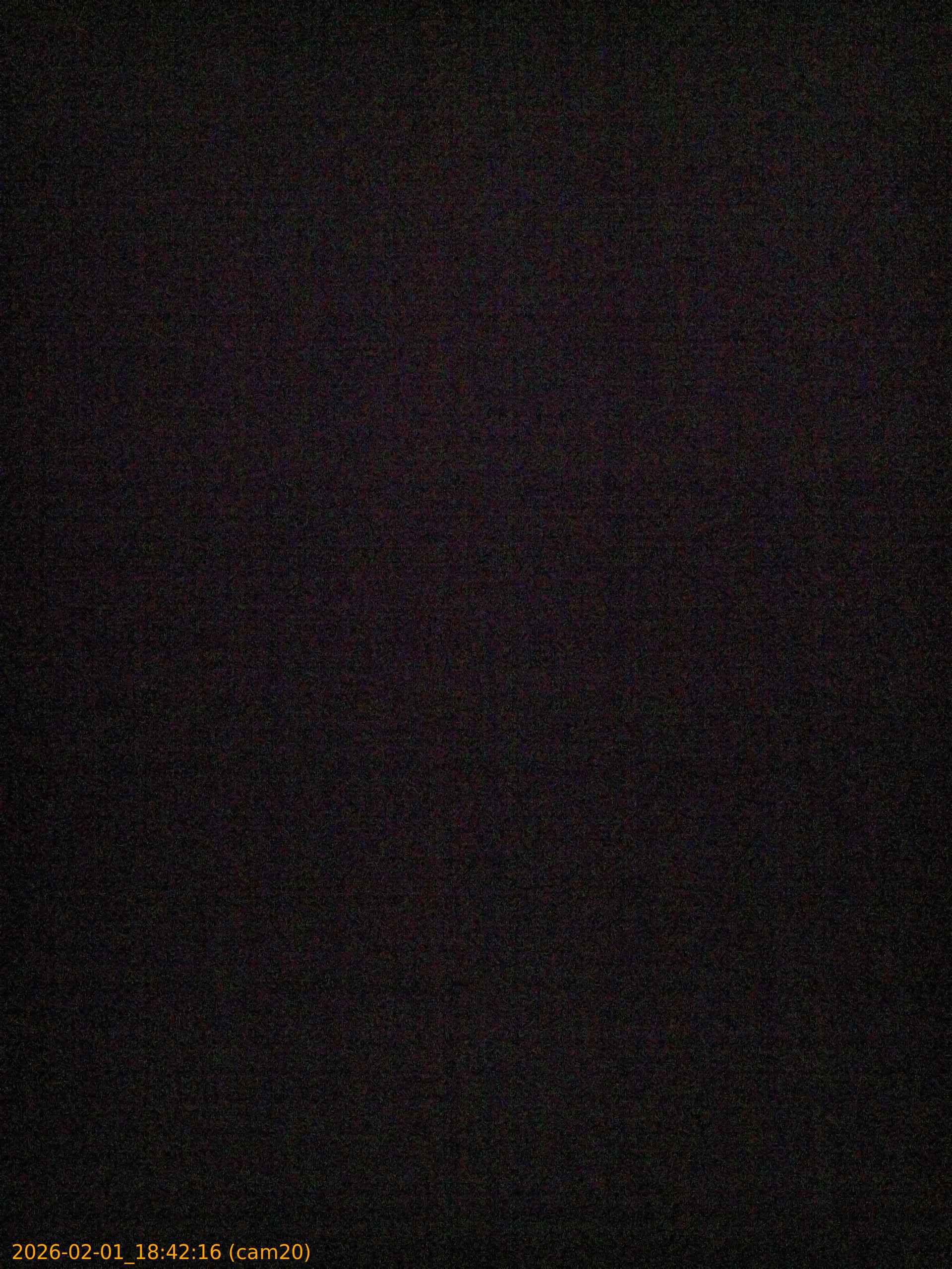 thumbnail_20260201184216