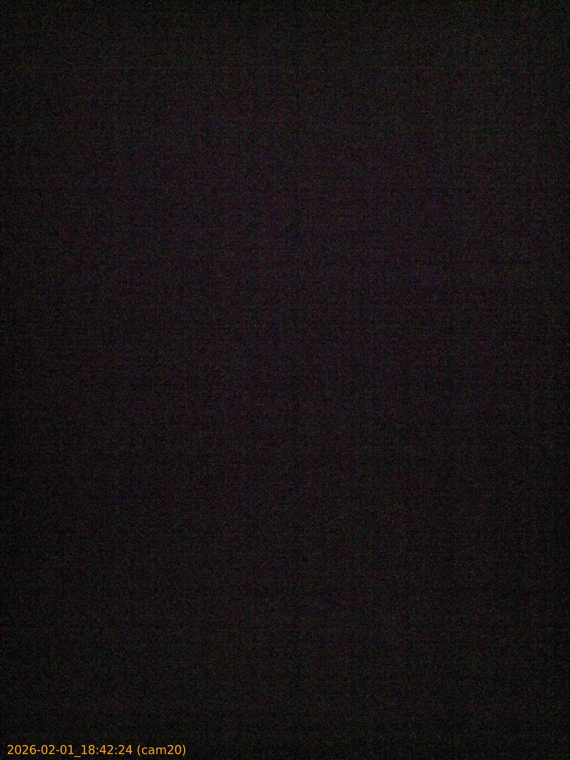 thumbnail_20260201184224