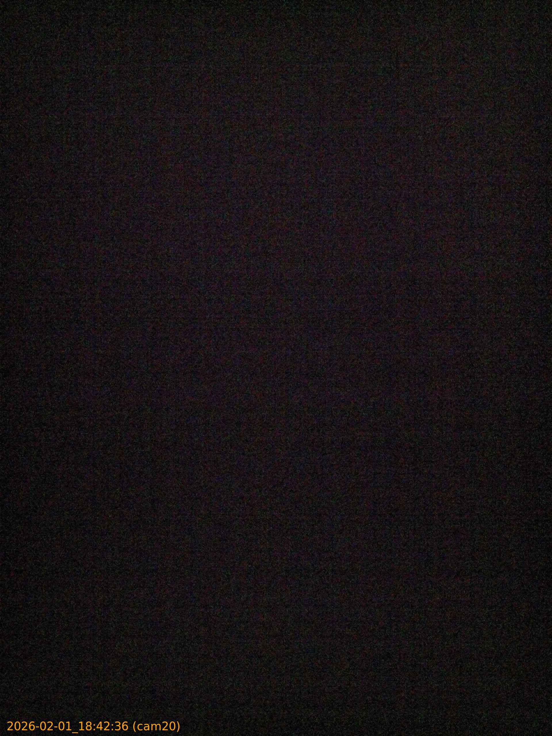 thumbnail_20260201184236