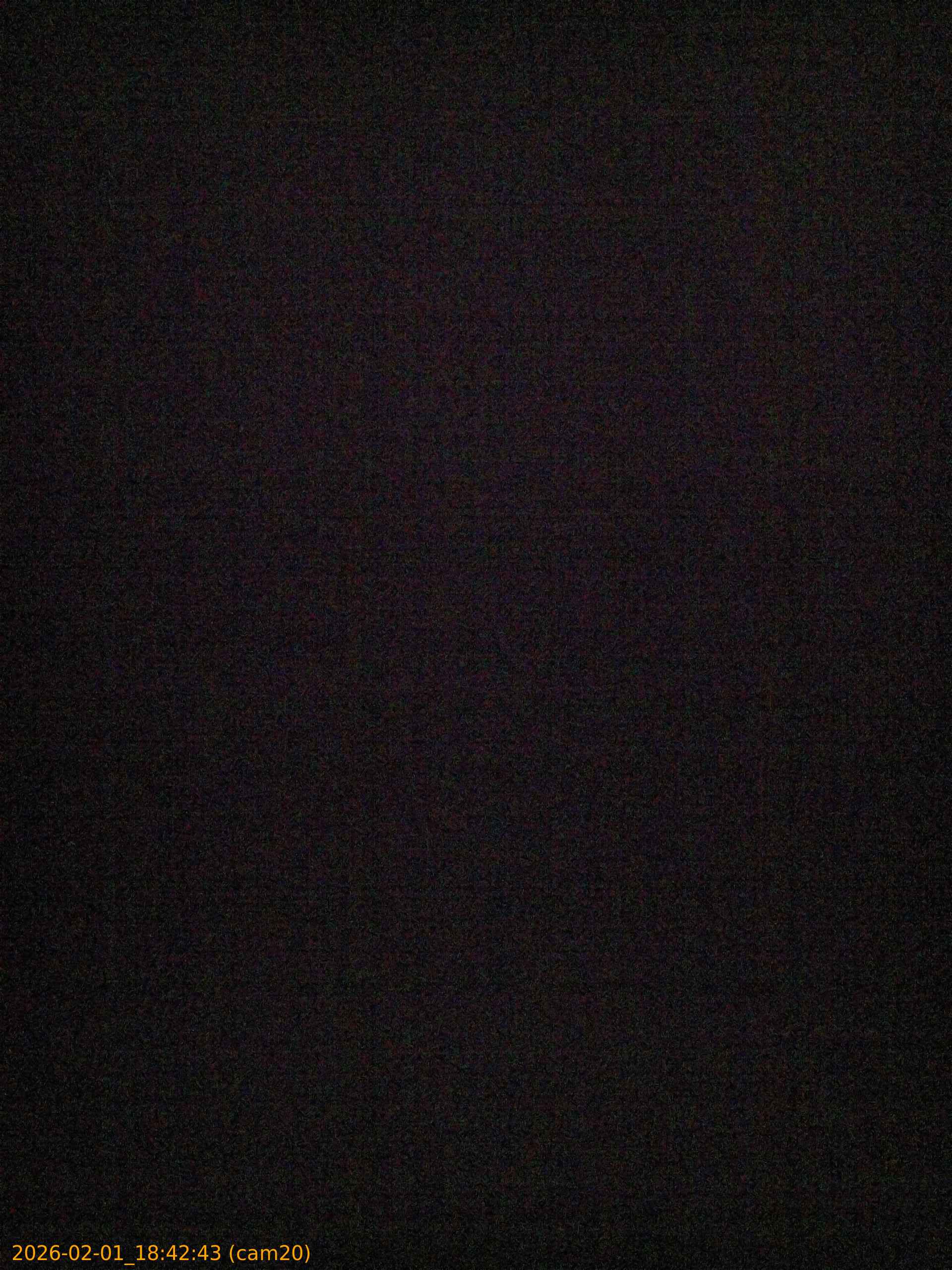 thumbnail_20260201184243