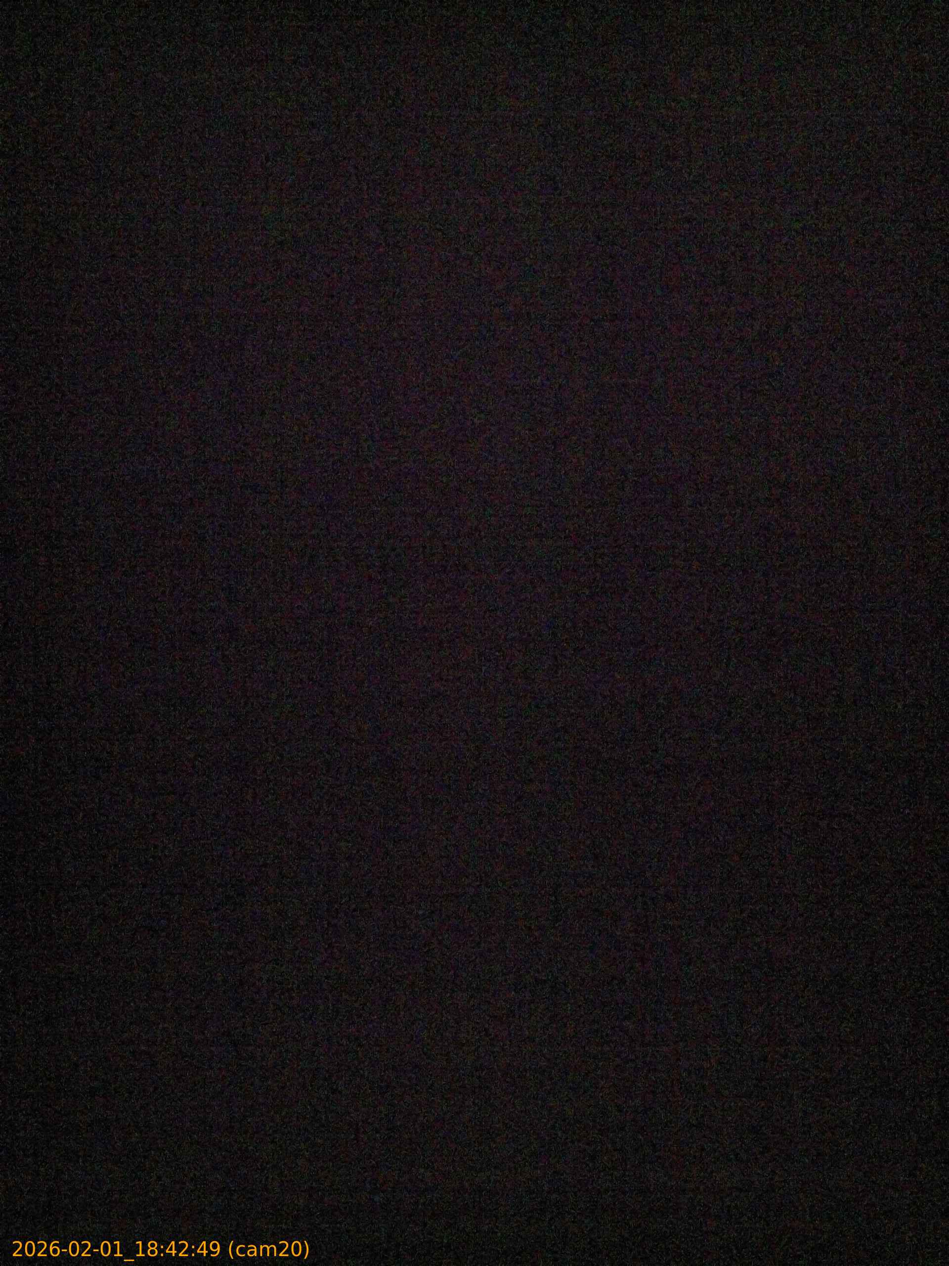 thumbnail_20260201184249