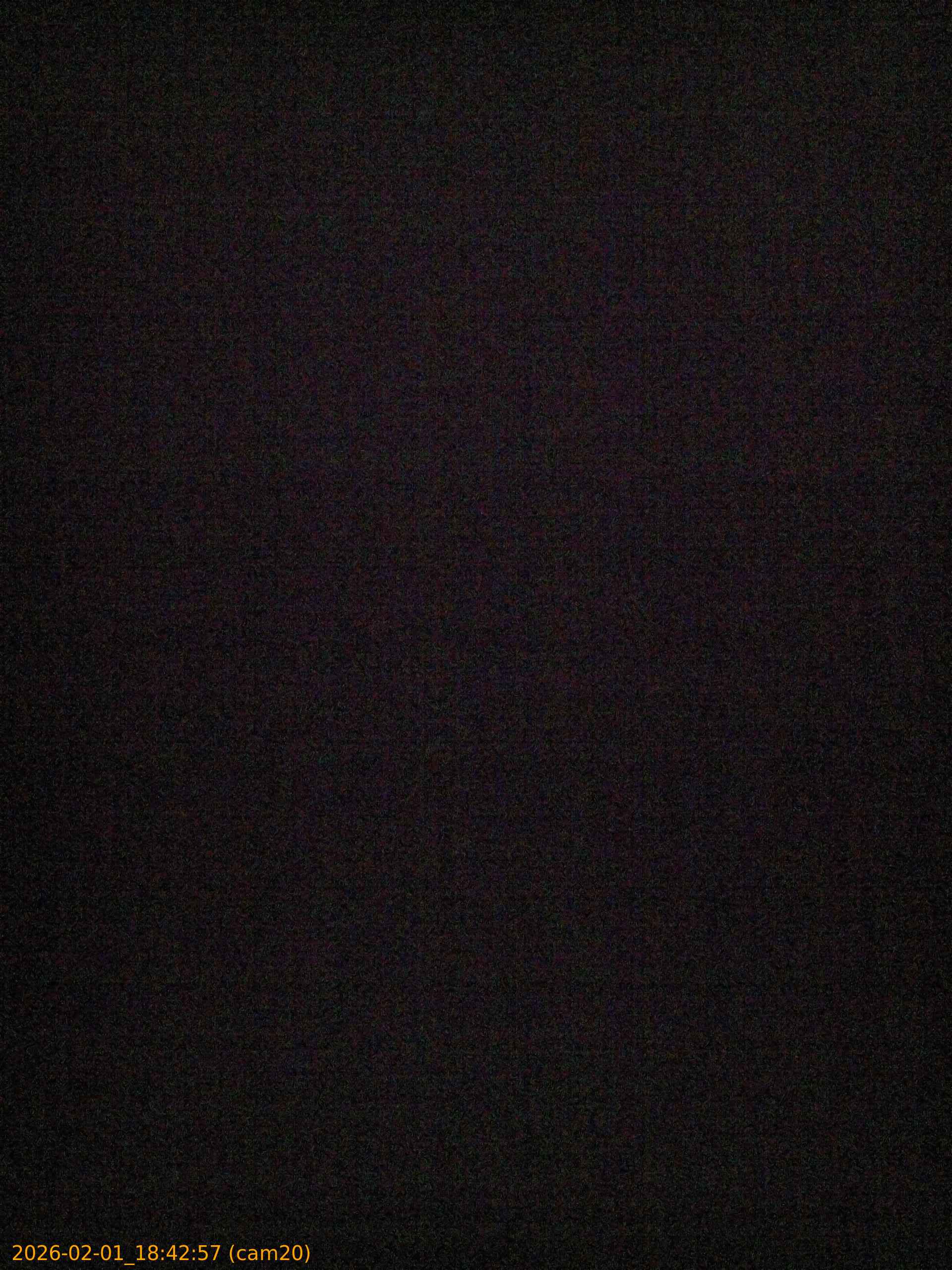 thumbnail_20260201184257