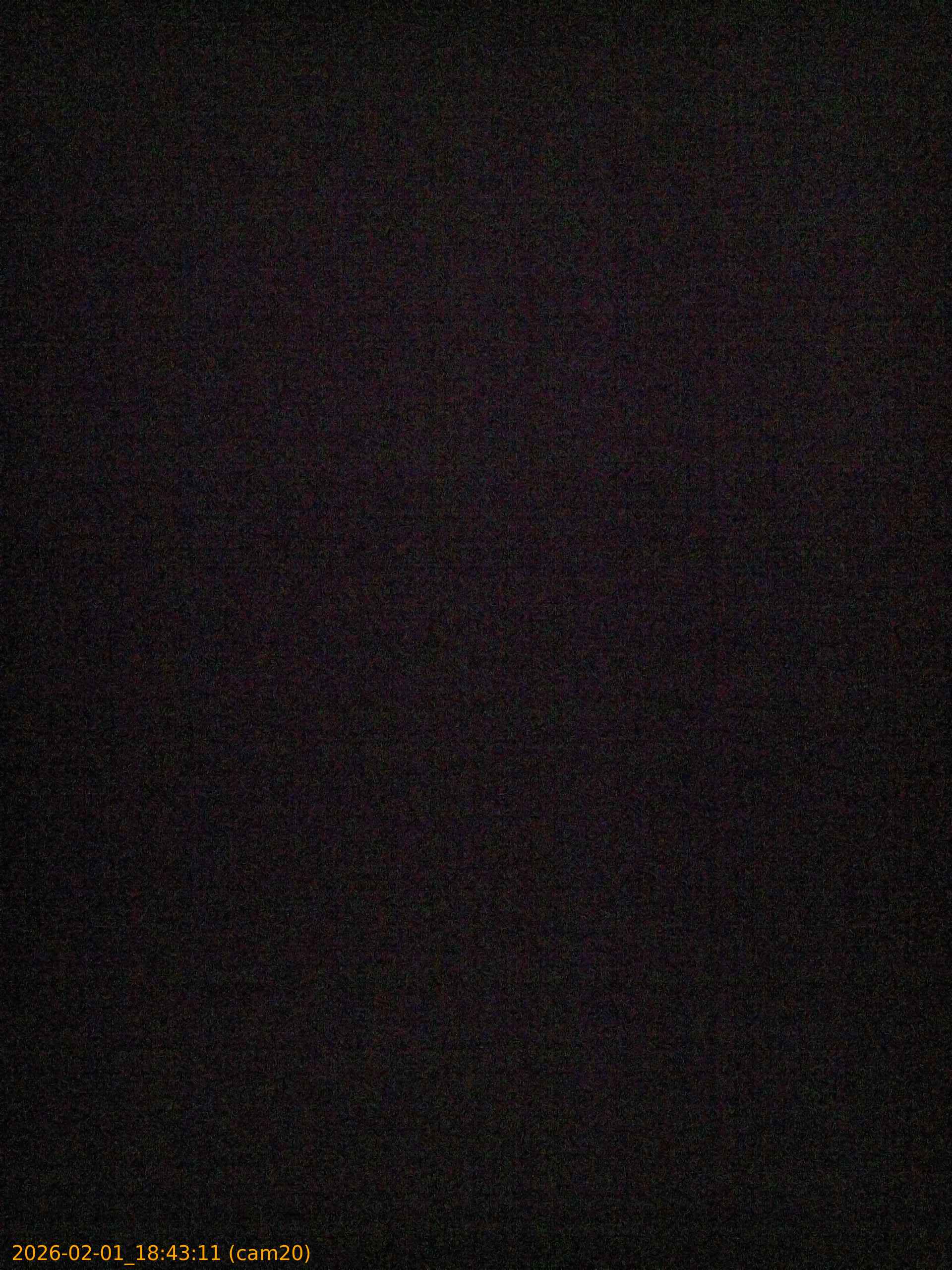 thumbnail_20260201184311