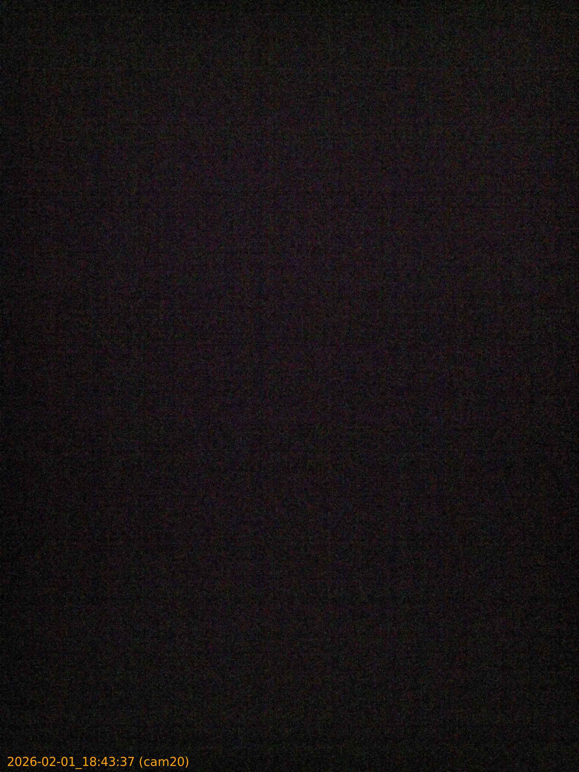 thumbnail_20260201184337