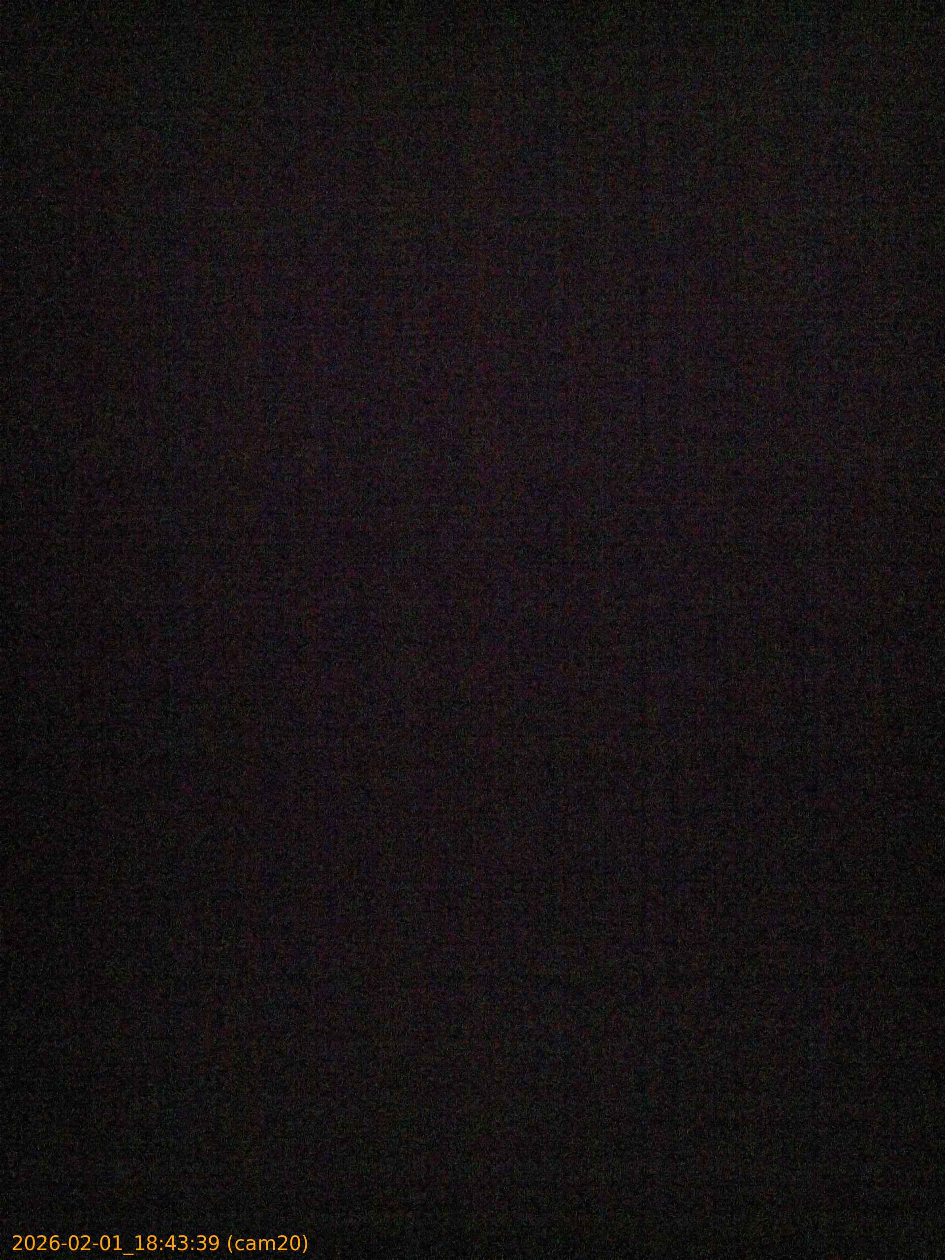 thumbnail_20260201184339