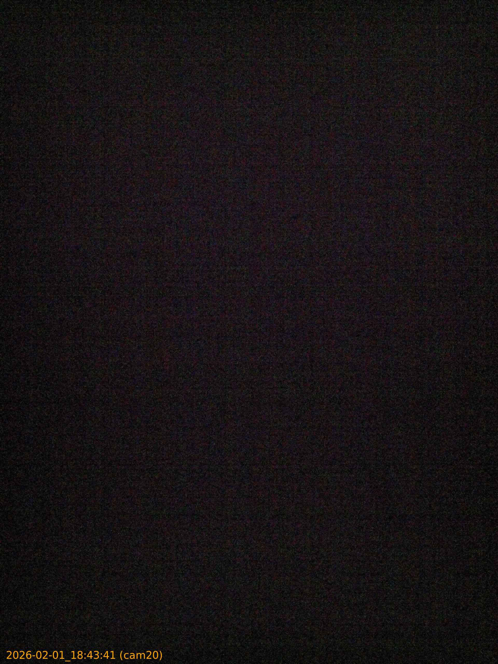 thumbnail_20260201184341