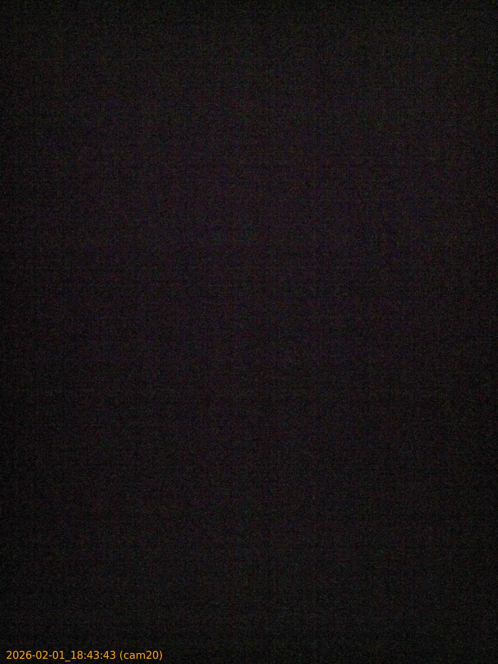 thumbnail_20260201184343