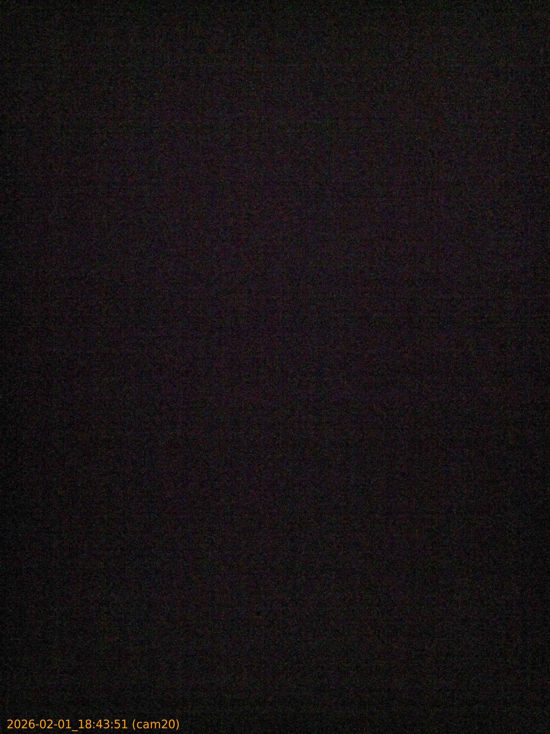 thumbnail_20260201184351