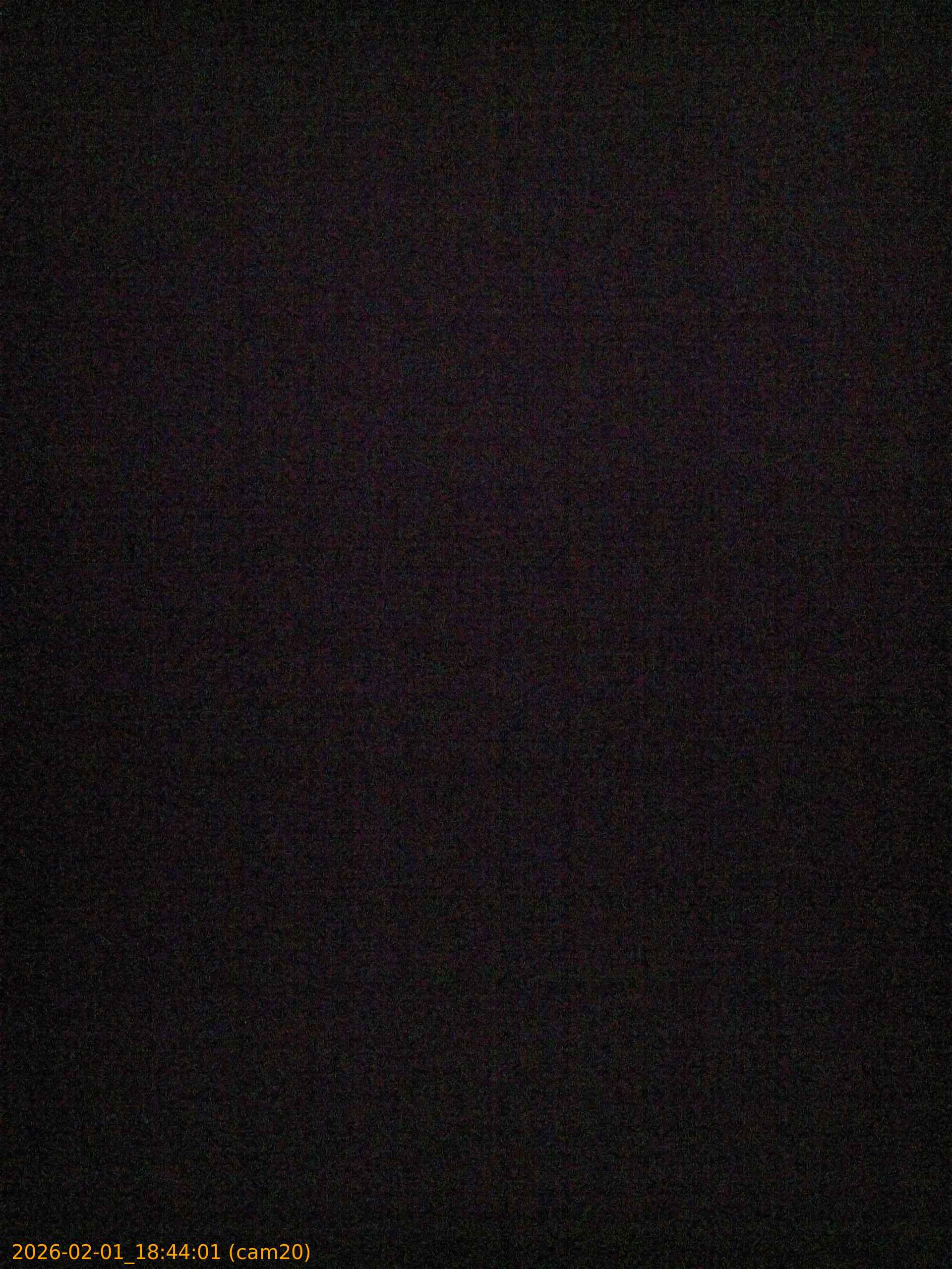 thumbnail_20260201184401