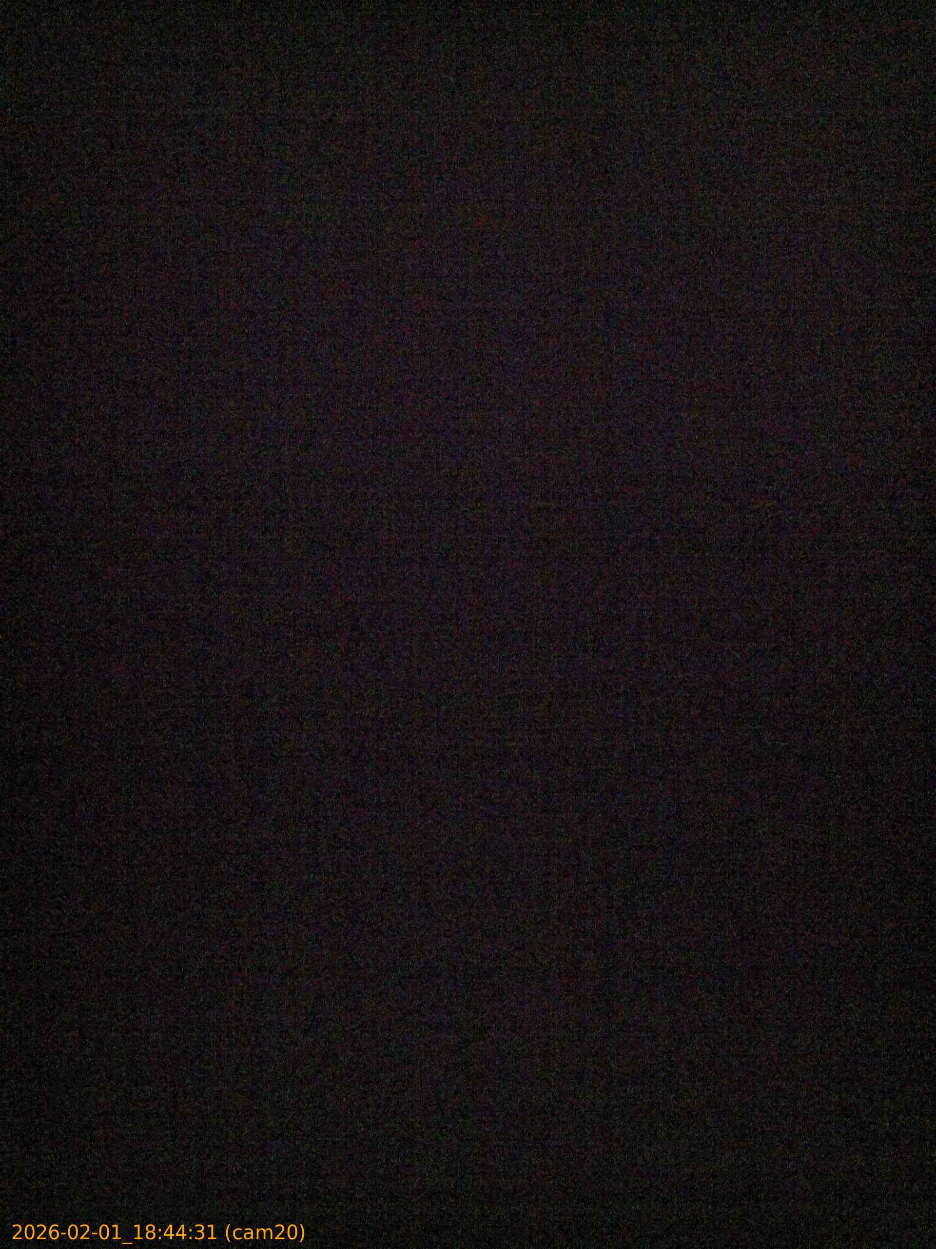 thumbnail_20260201184431