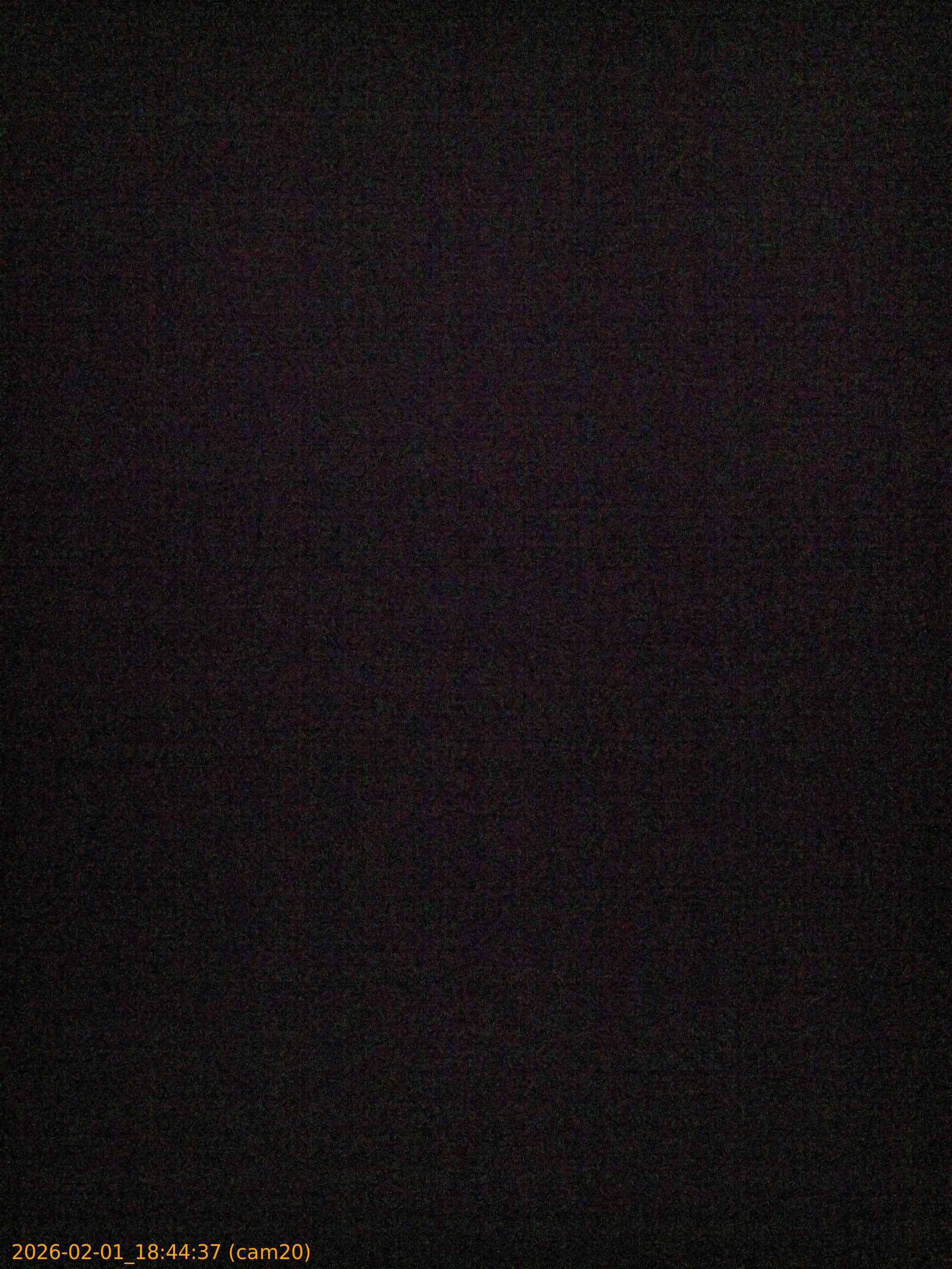 thumbnail_20260201184437