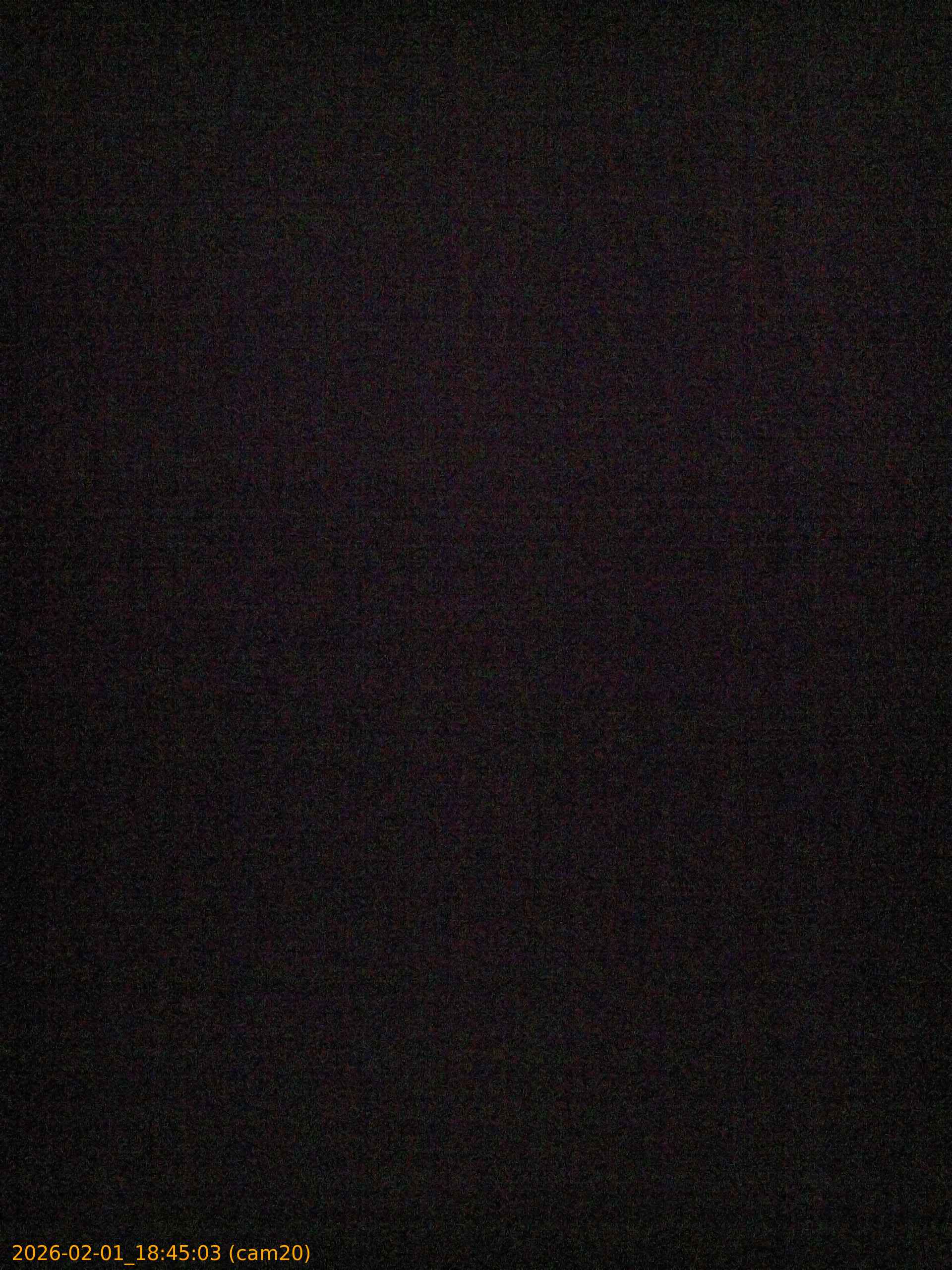 thumbnail_20260201184503