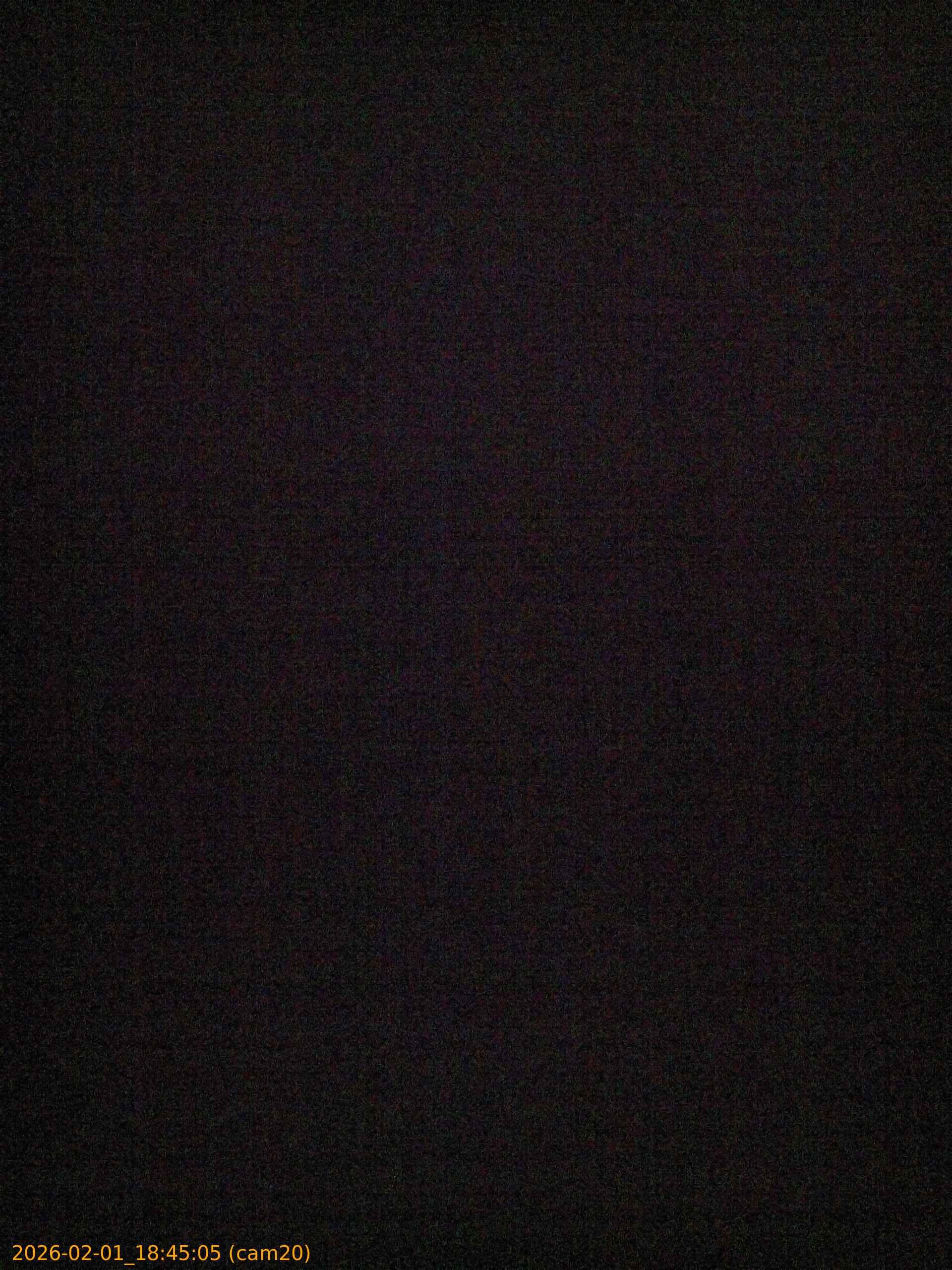 thumbnail_20260201184505