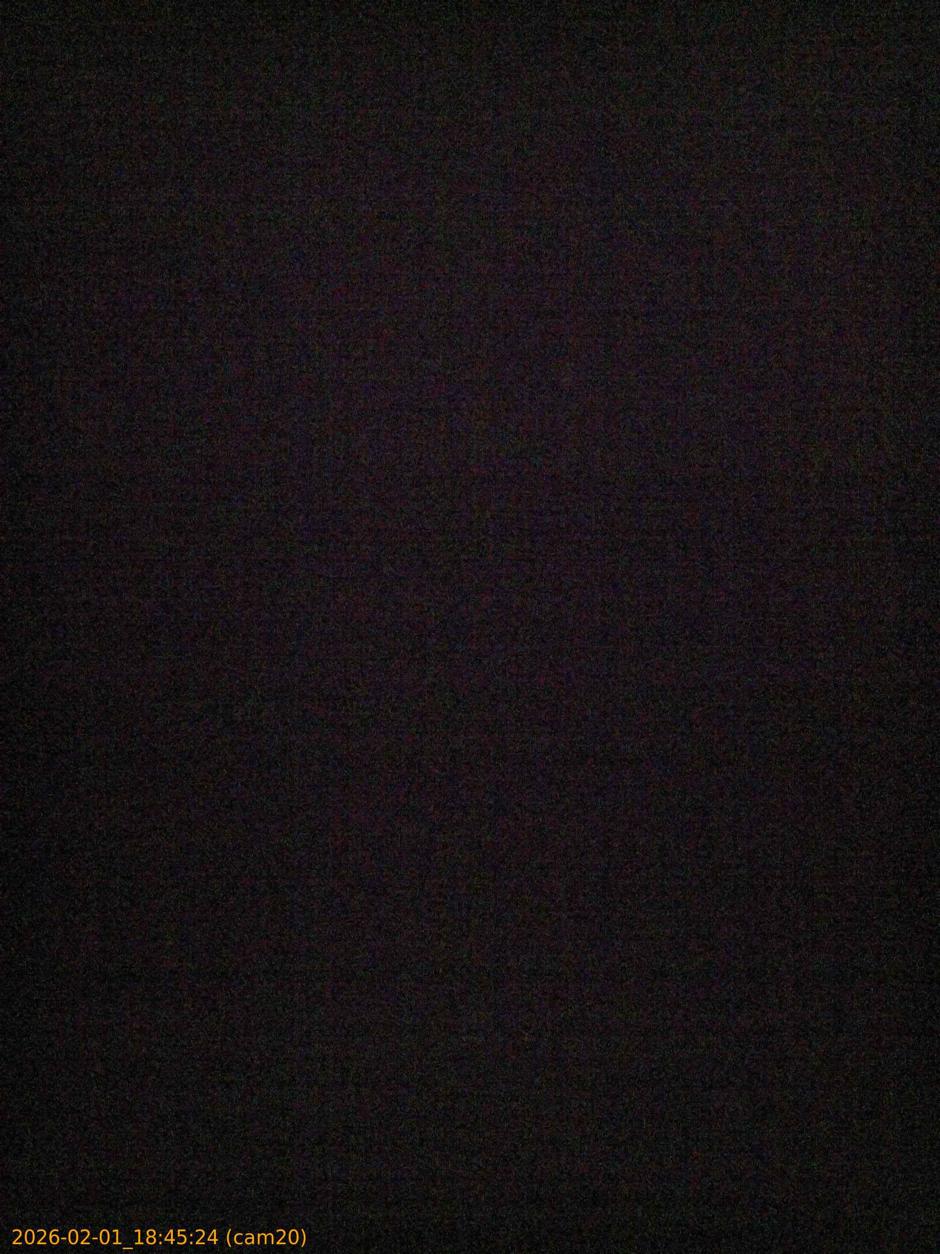 thumbnail_20260201184524