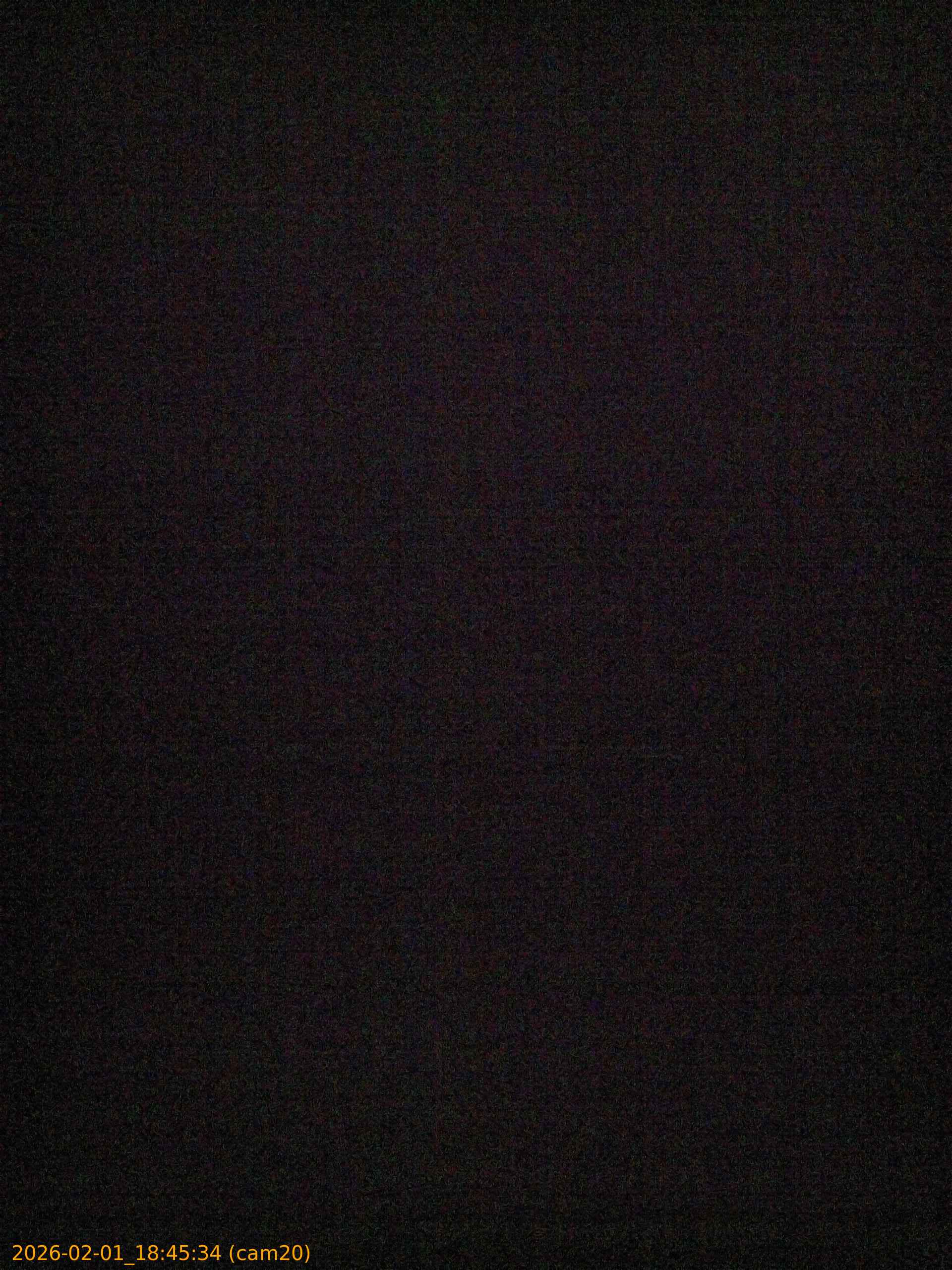 thumbnail_20260201184534