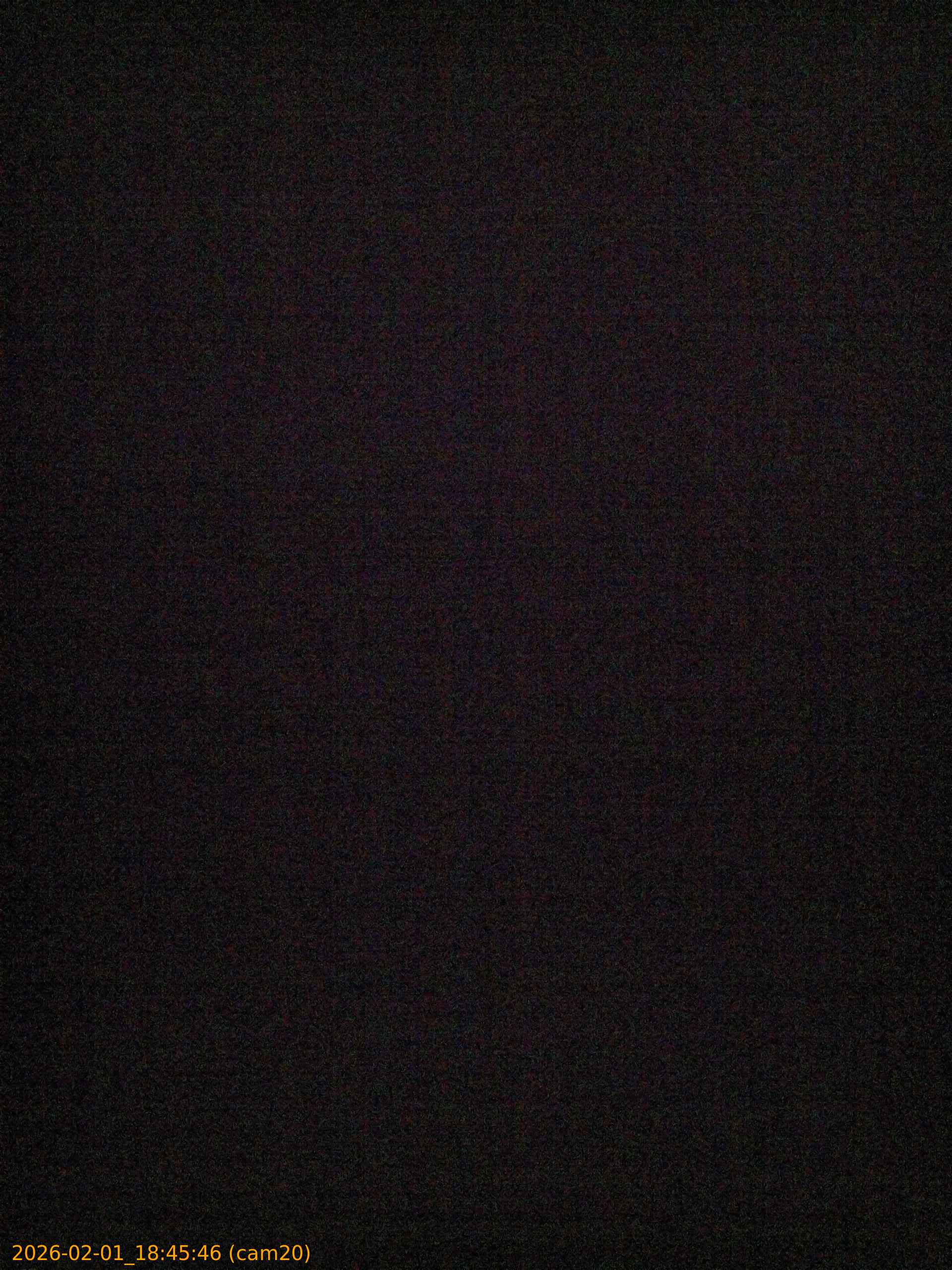 thumbnail_20260201184546