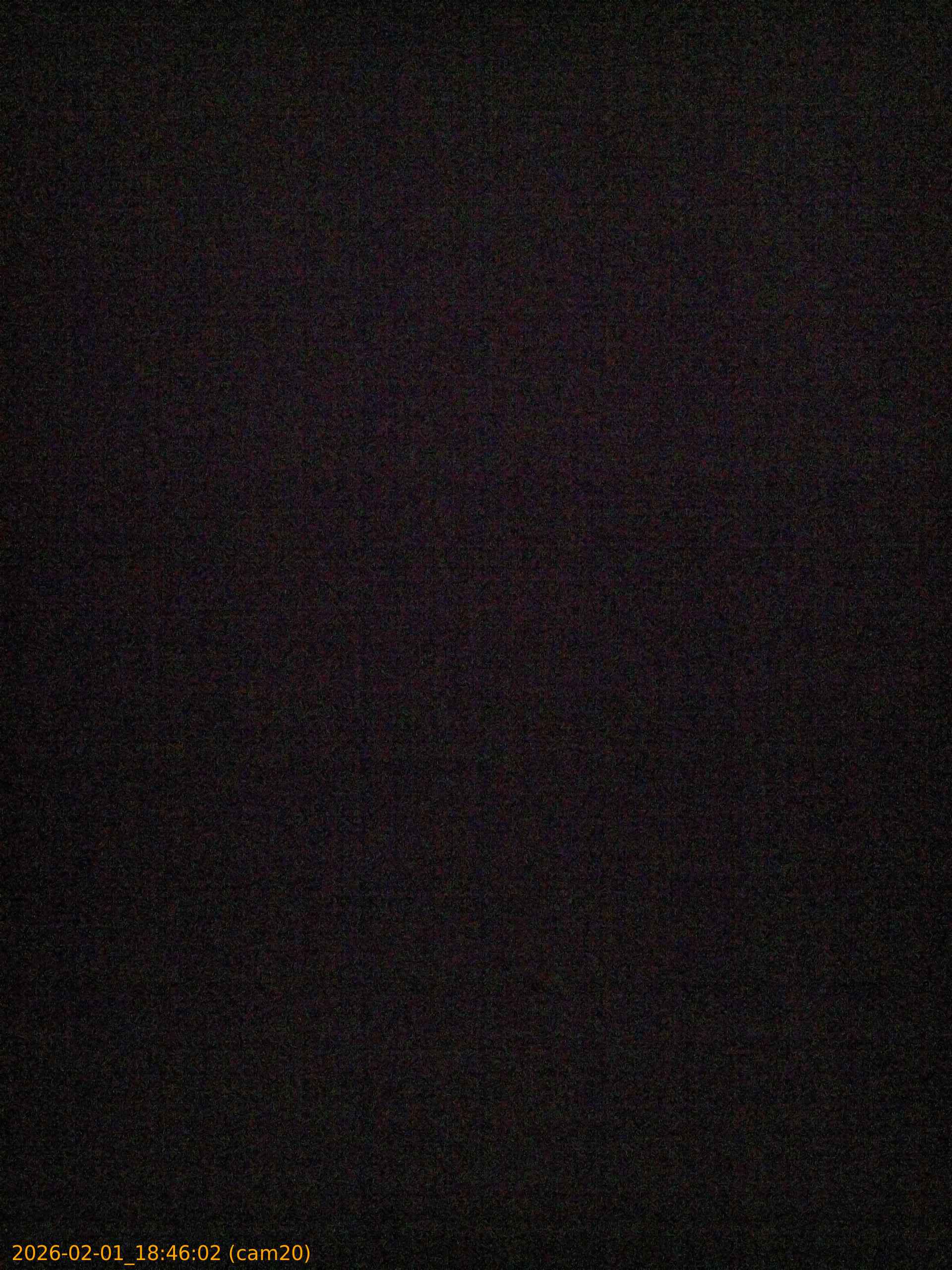 thumbnail_20260201184602