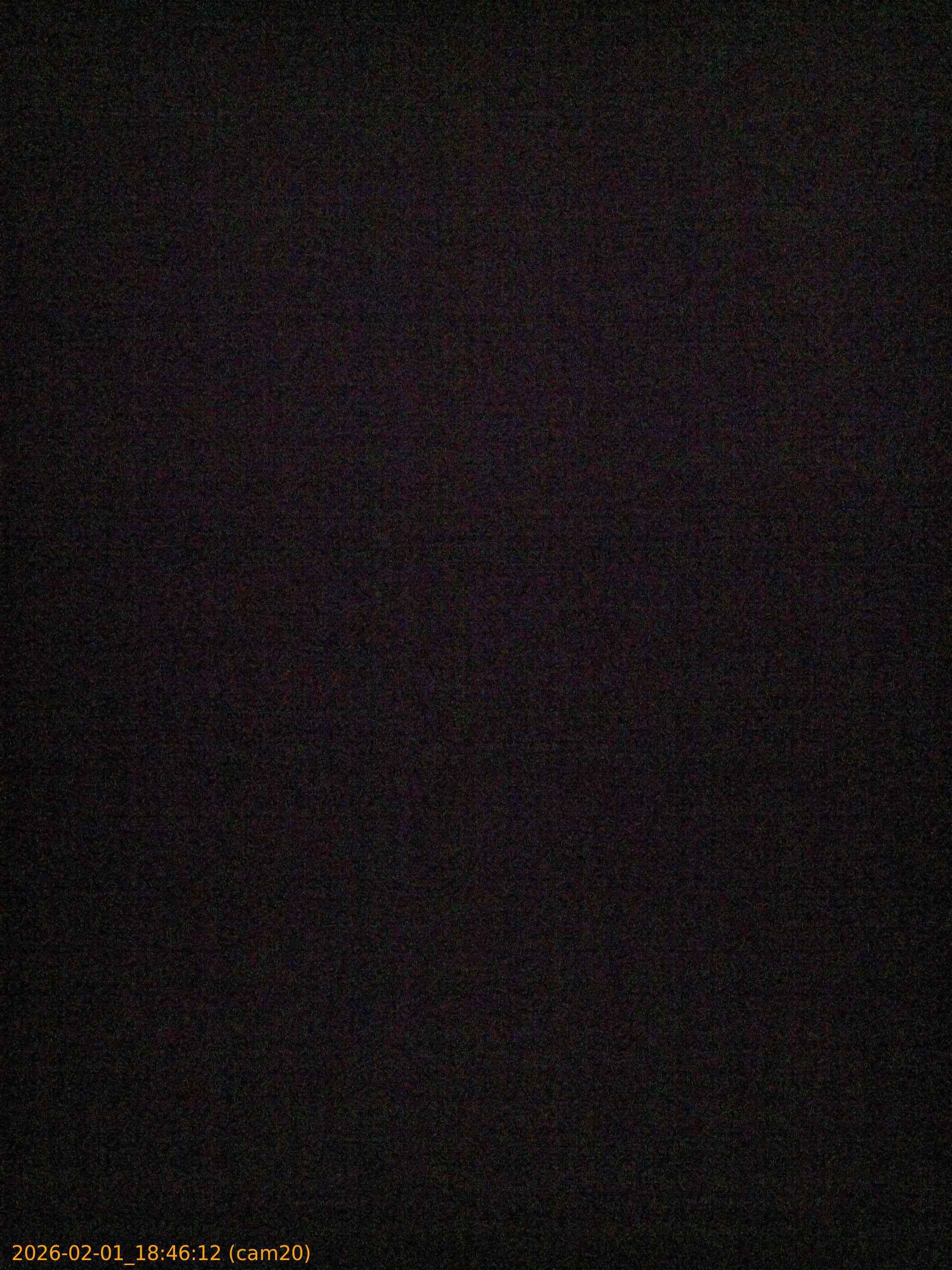 thumbnail_20260201184612