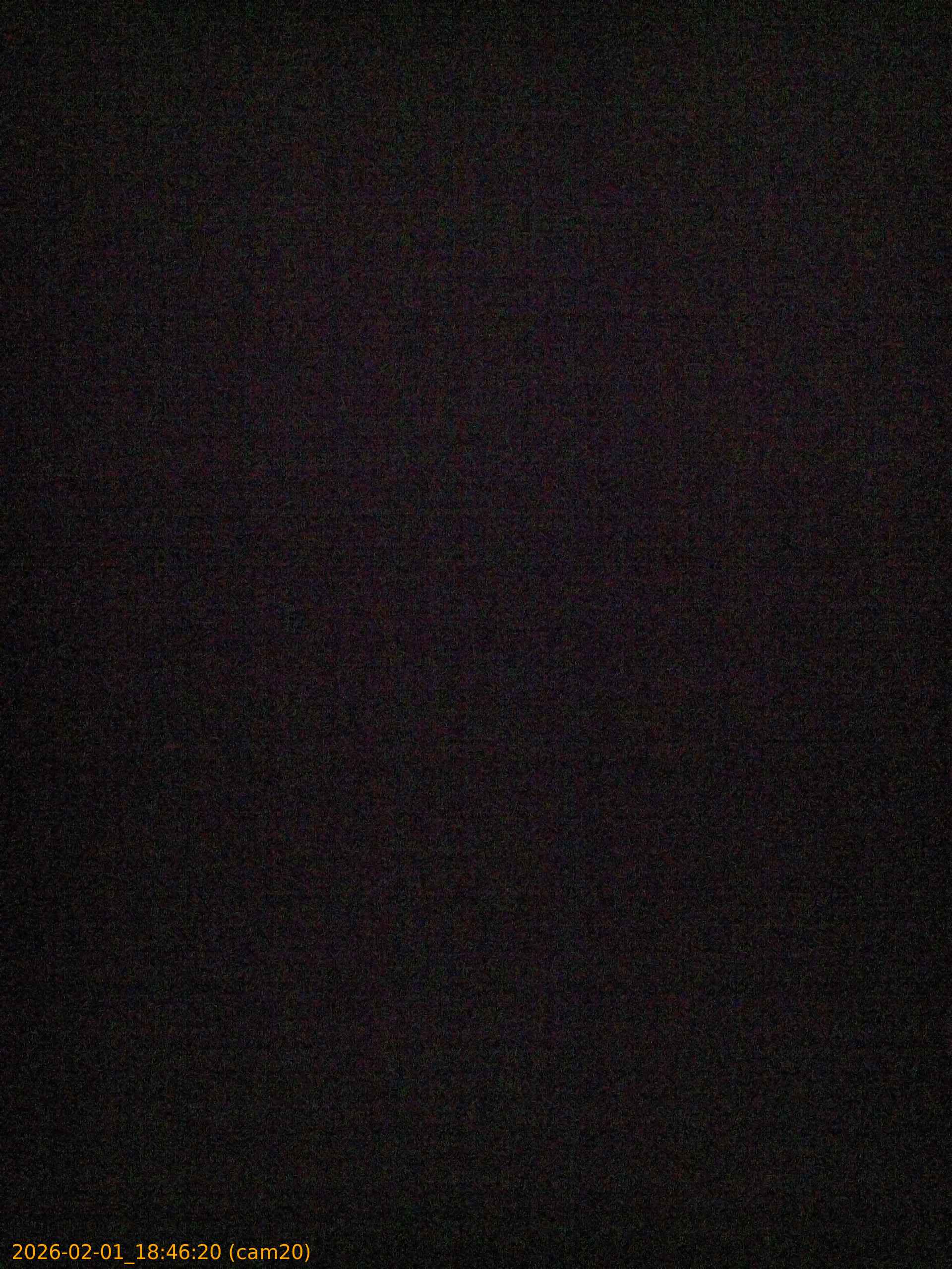 thumbnail_20260201184620