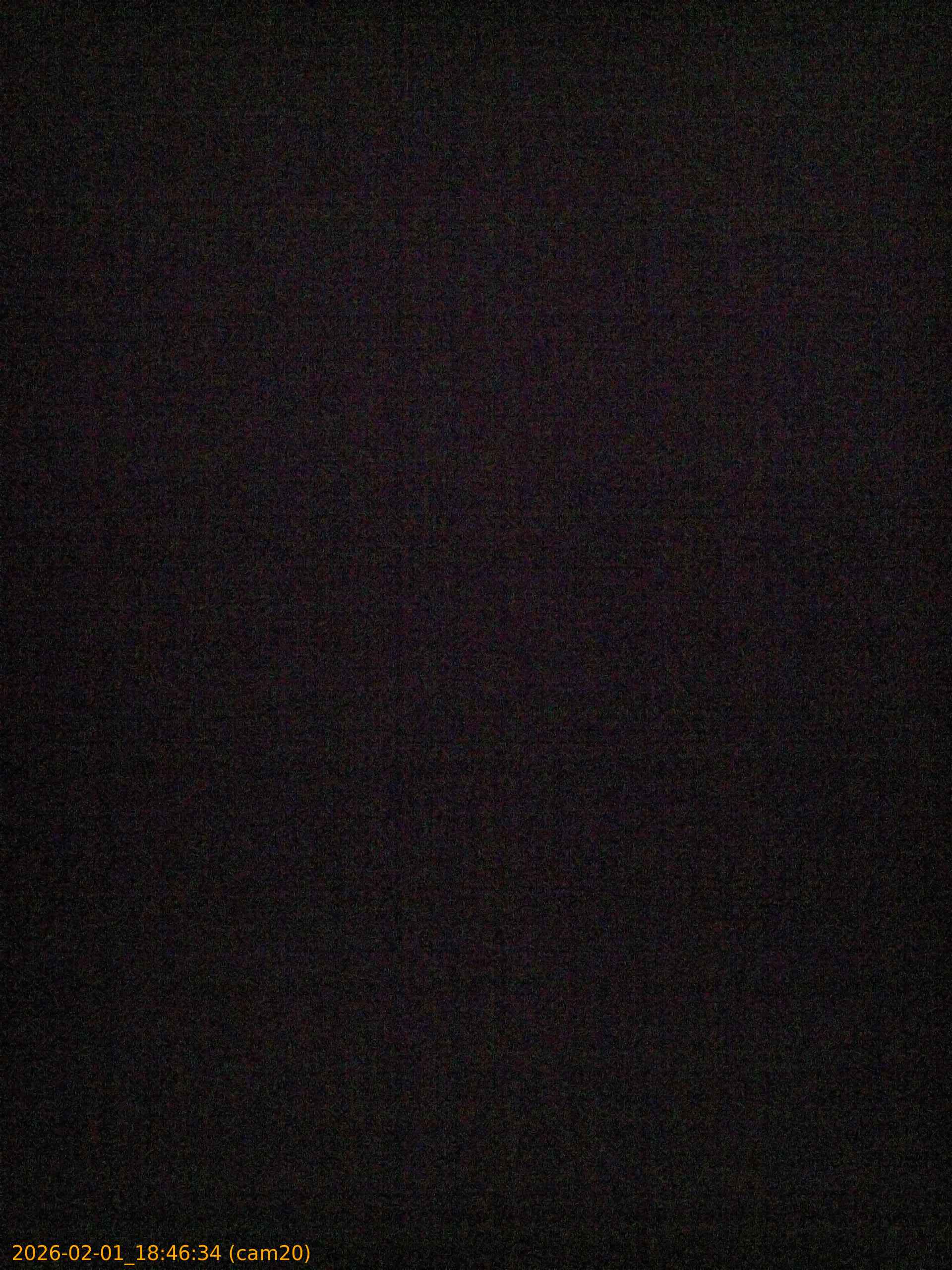 thumbnail_20260201184634